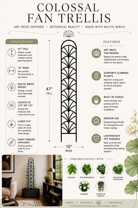 Product infographic for the Colossal Fan Trellis showing a 47-inch-tall, 10-inch-wide Art Deco fan-pattern plant trellis made from Baltic birch with built-in stakes, 1/4-inch or 1/2-inch thickness options, indoor use, and multiple finish choices.