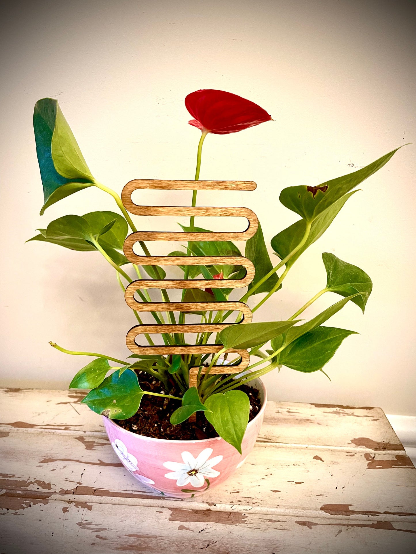 Boho Indoor Plant Trellis | Spring Shapes | Multiple Sizes & Finishes