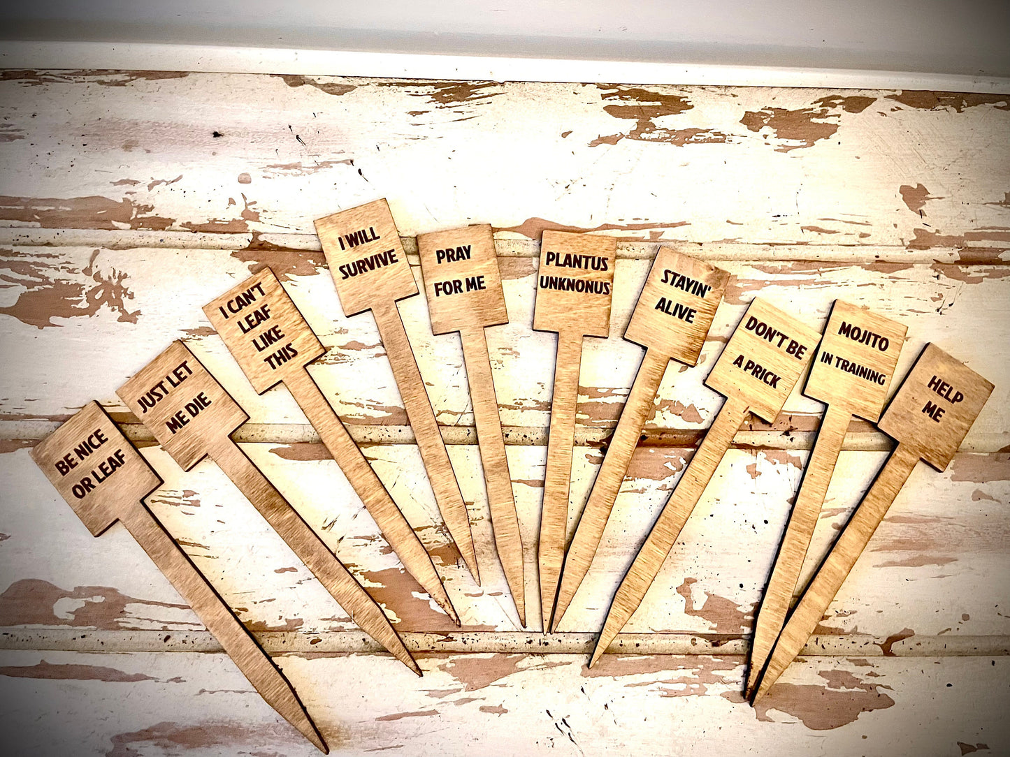 Funny Indoor Plant & Cactus Stakes | Set of 10 Labels | 12 Finishes | Set B