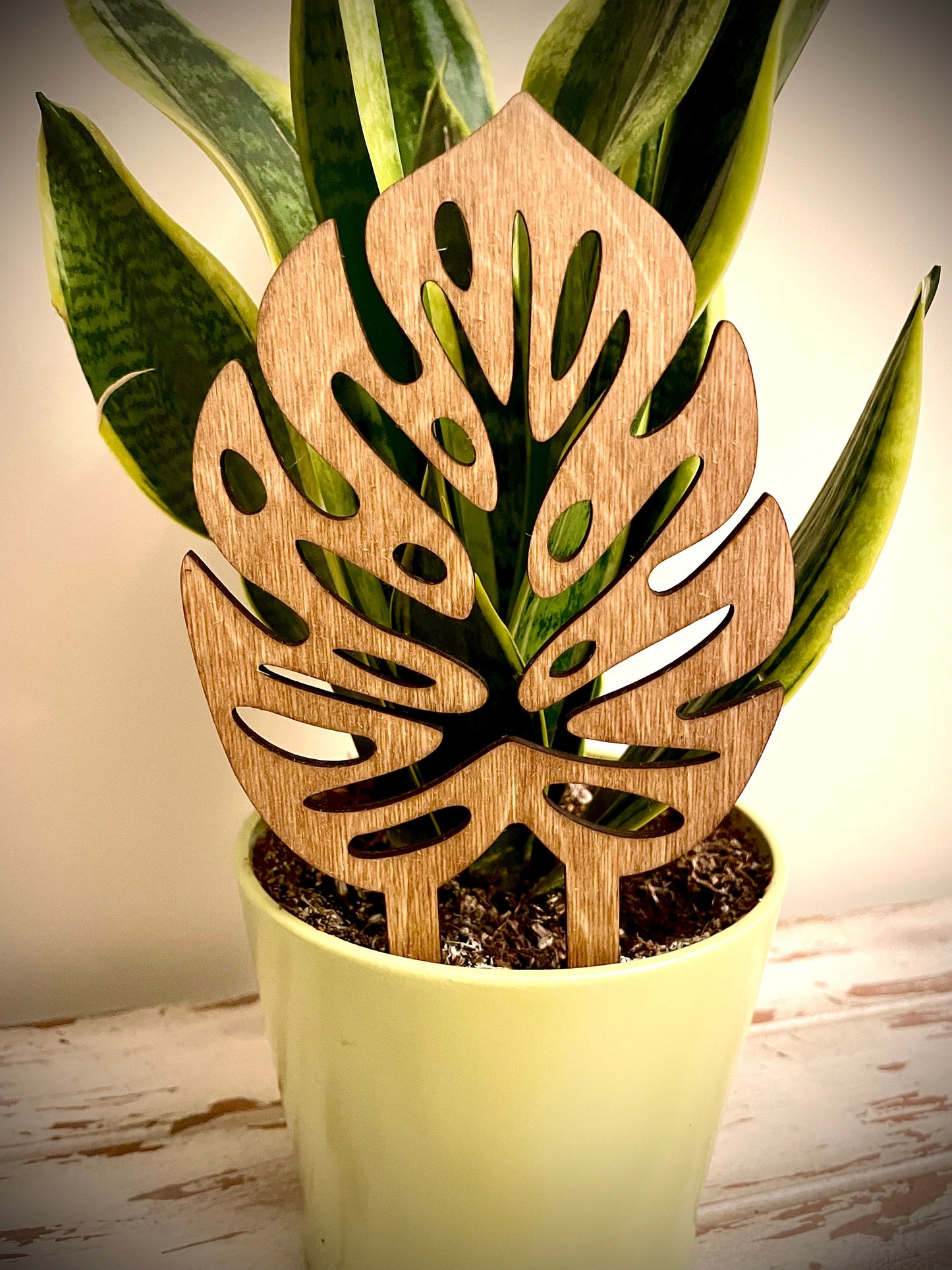 Boho Indoor Plant Trellis | Monstera Leaves | Multiple Sizes & Finishes