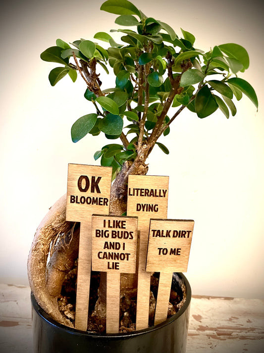 Funny Indoor Plant & Cactus Stakes | Set of 10 Labels | 12 Finishes | Set A