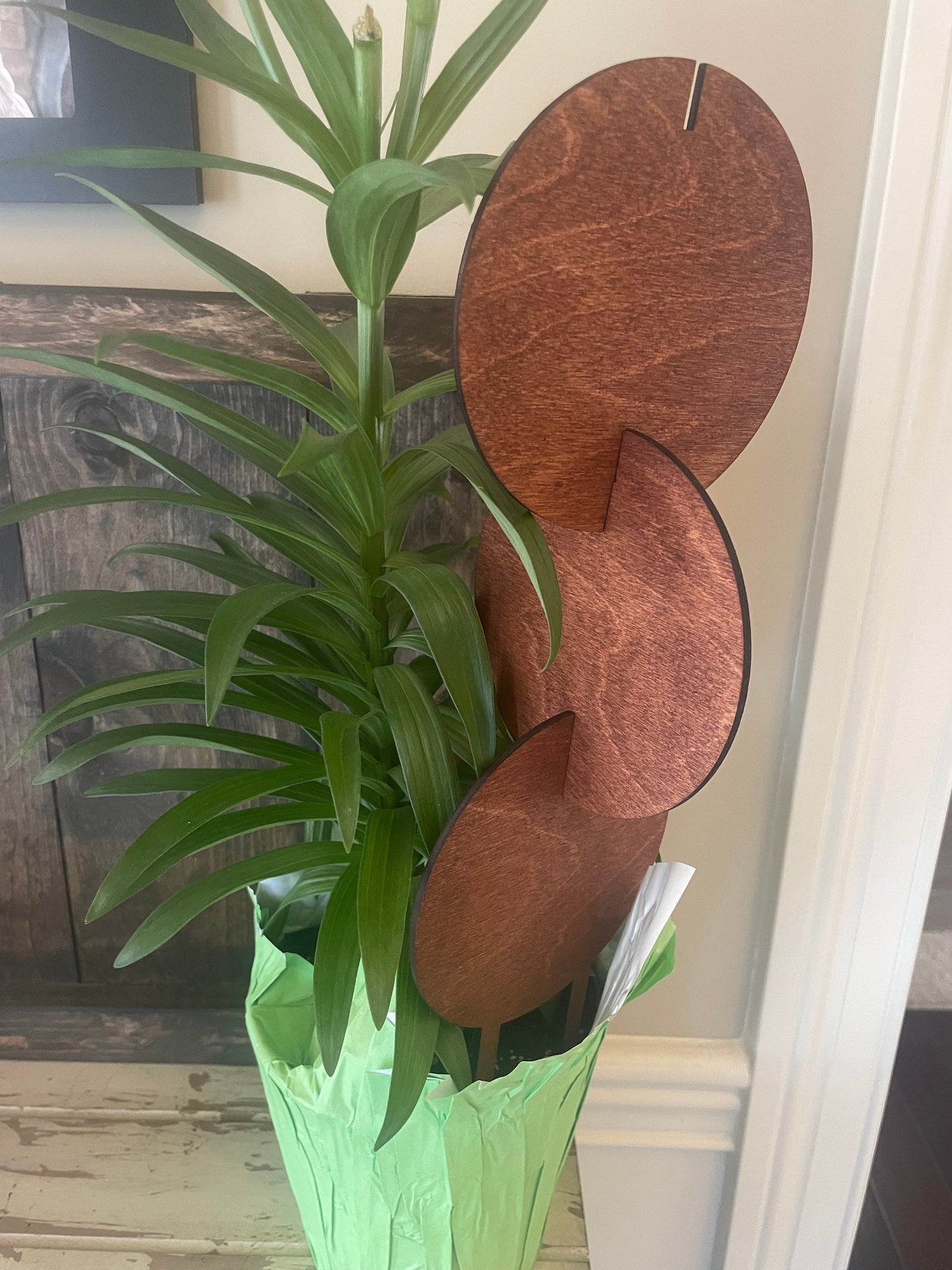 Boho Expandable Indoor Plant Trellis | Circle Shapes | Multiple Configurations | 12 Finishes
