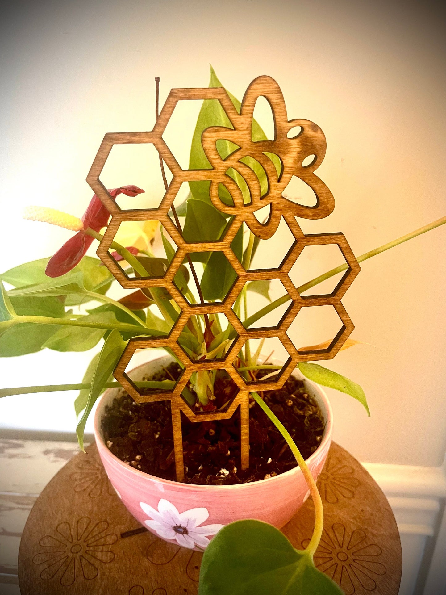 Boho Indoor Plant Trellis | Honeybee & Honeycomb | Multiple Sizes & Finishes | Style E