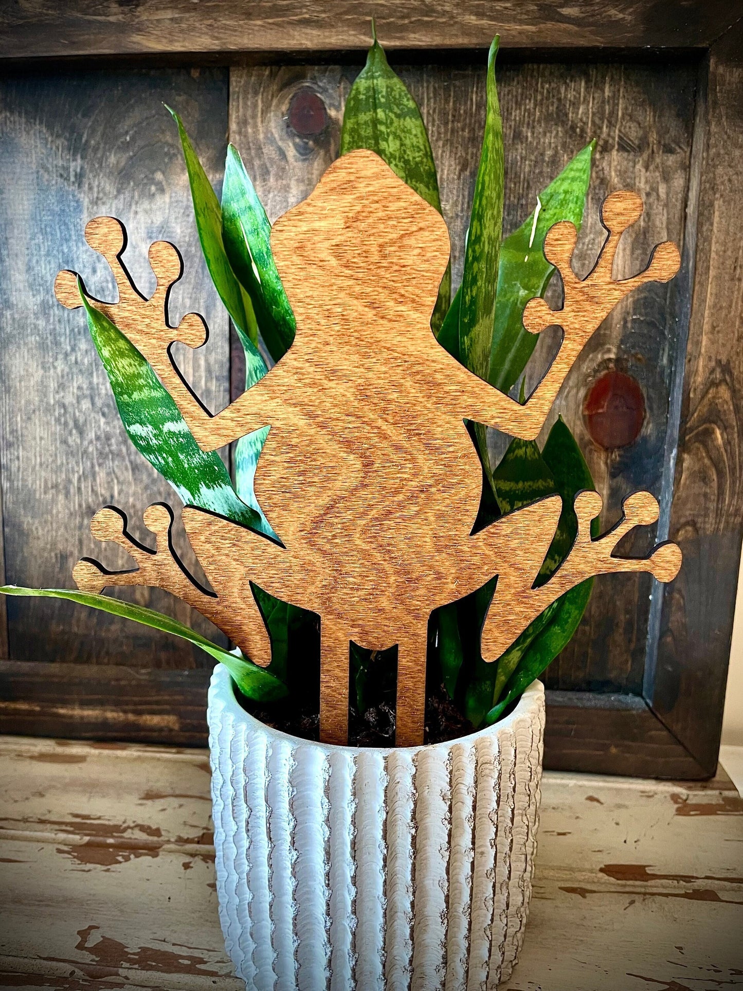 Boho Indoor Plant Trellis | Frog | Multiple Sizes & Finishes