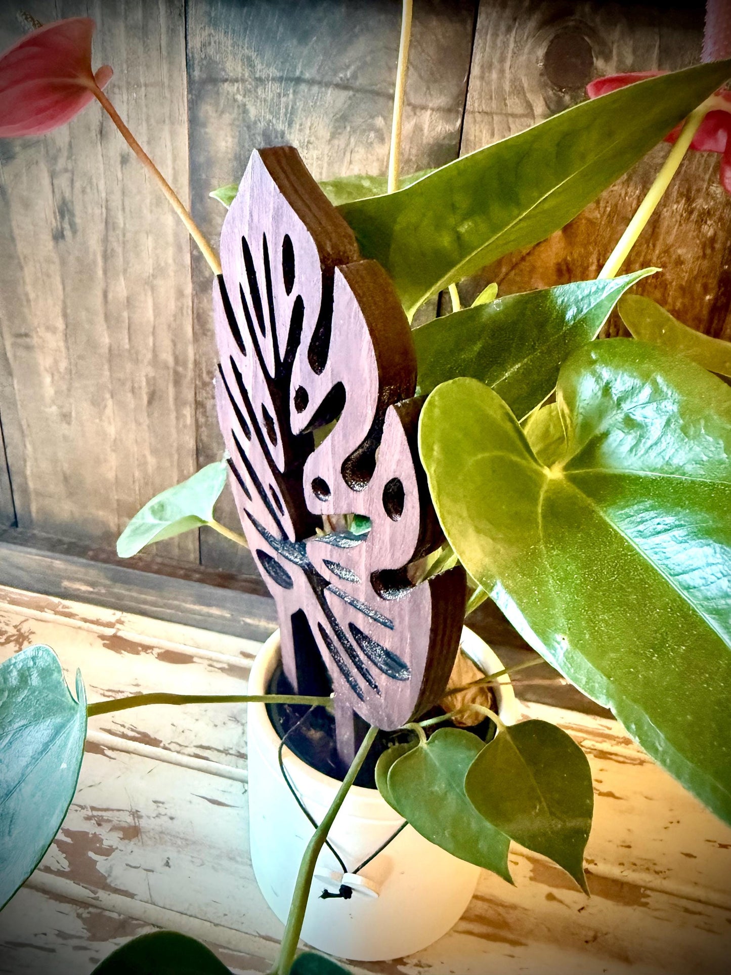 Boho Indoor Plant Trellis | Monstera Leaves | Multiple Sizes & Finishes