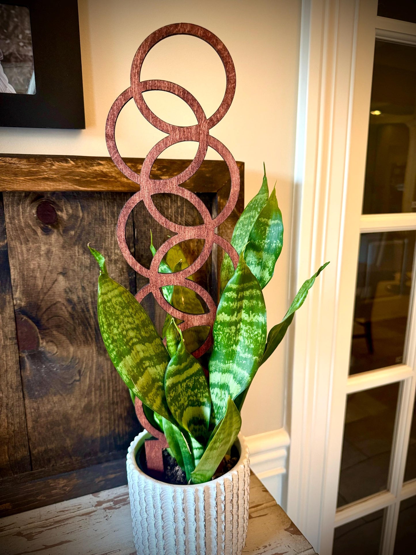 GIANT 18" Boho Indoor Plant Trellis | Small Circle Pattern | 12 Finishes
