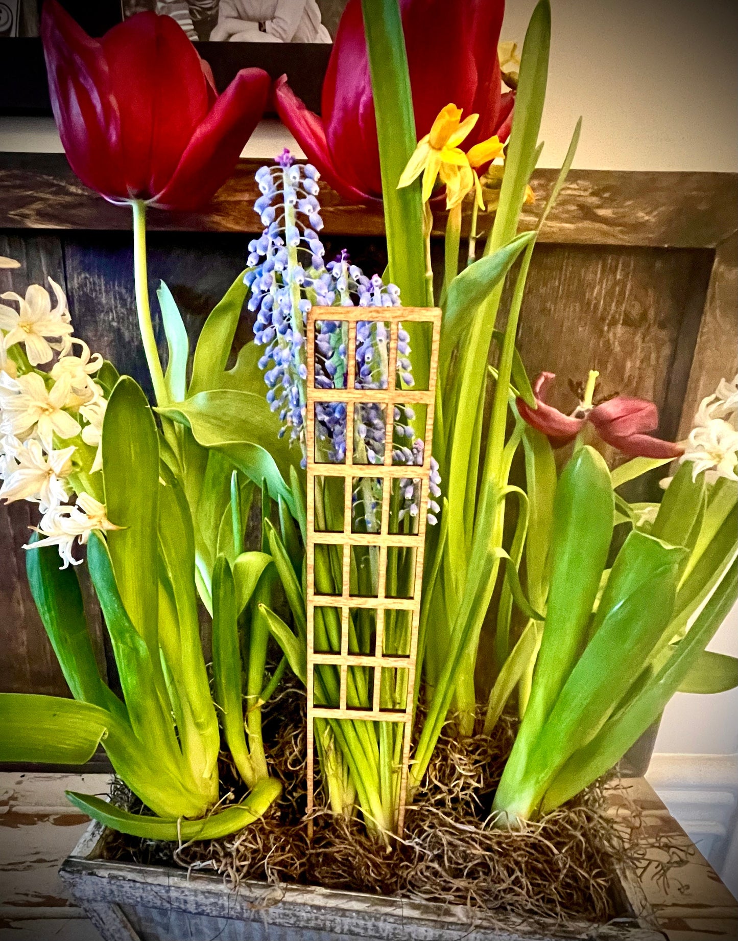 Boho Indoor Plant Trellis | Grid Shape | Multiple Sizes & Finishes