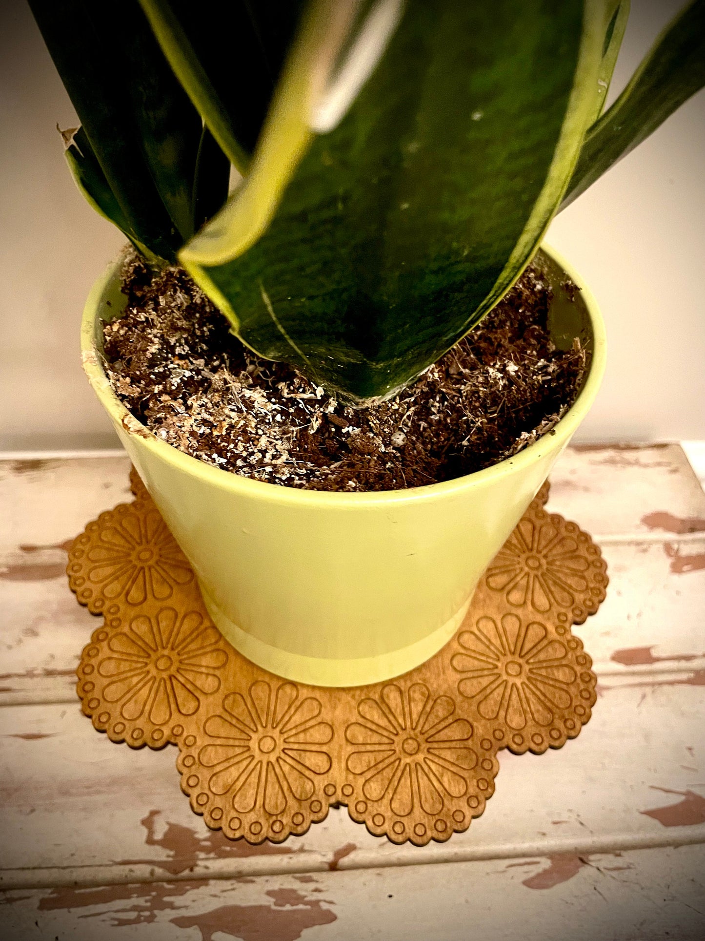 Large Boho Floral Wood Indoor Plant Stand | Very Sturdy | 12 Finishes | Style A