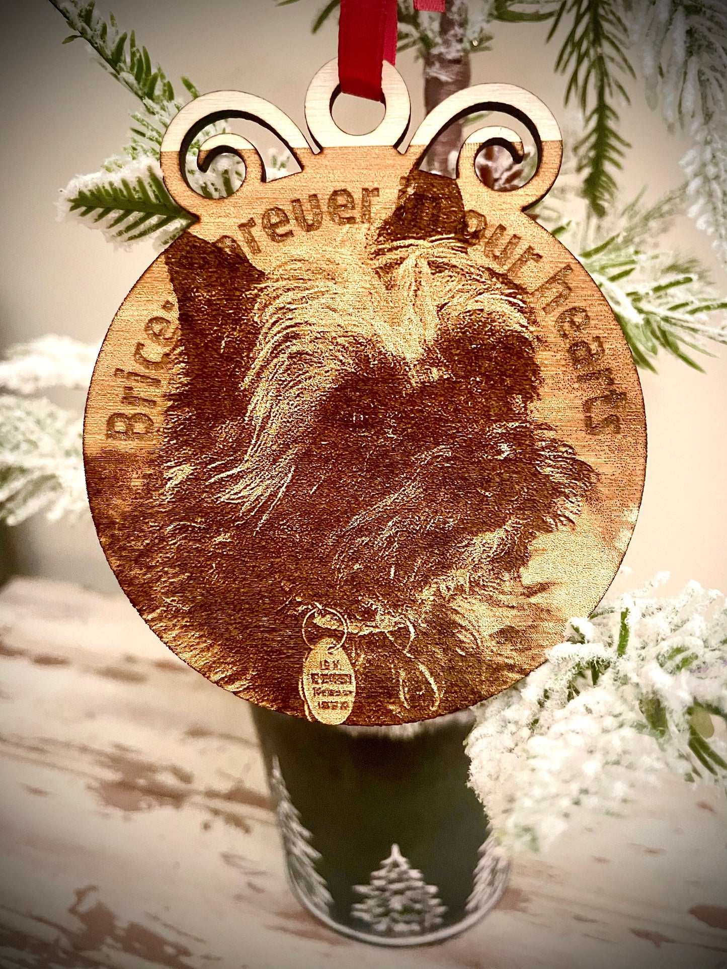 Custom Dog Photo Ornament/Gift Tag with photo of dog, cat, horse, family, kids