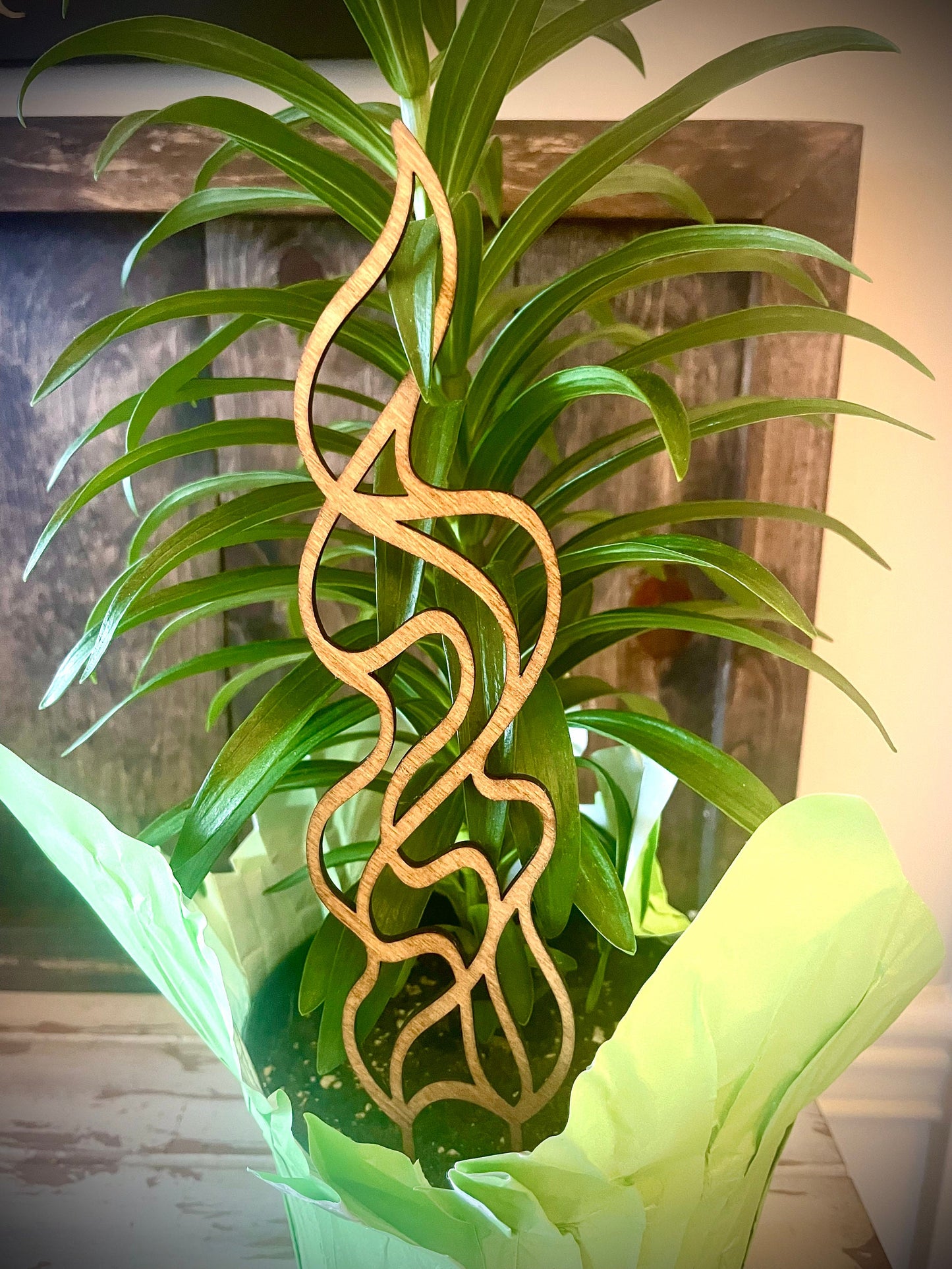Boho Indoor Plant Trellis | Flame Shapes | Multiple Sizes & Finishes