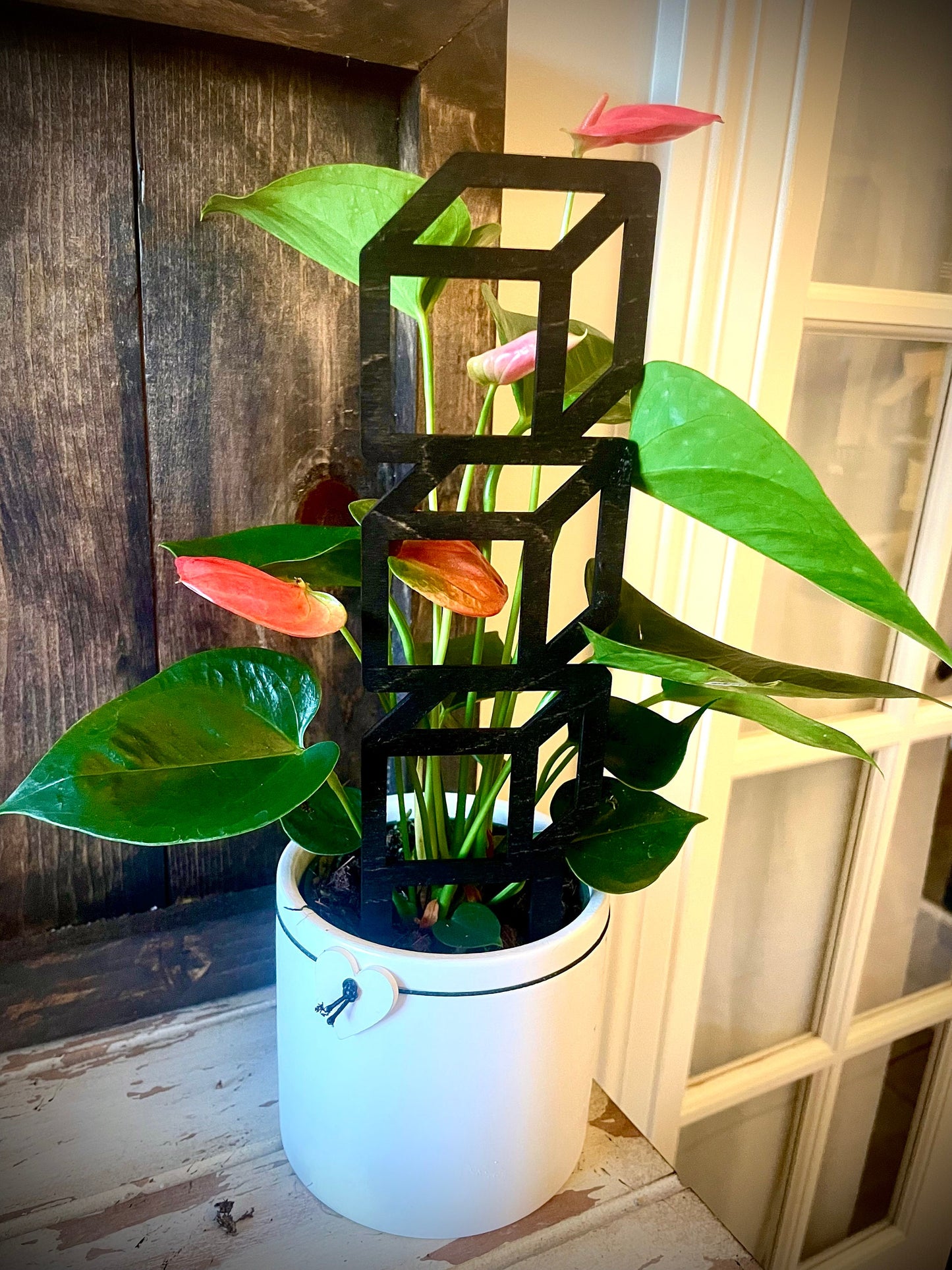 Boho Indoor Plant Trellis | 3D Cube Effect | Multiple Sizes & Finishes