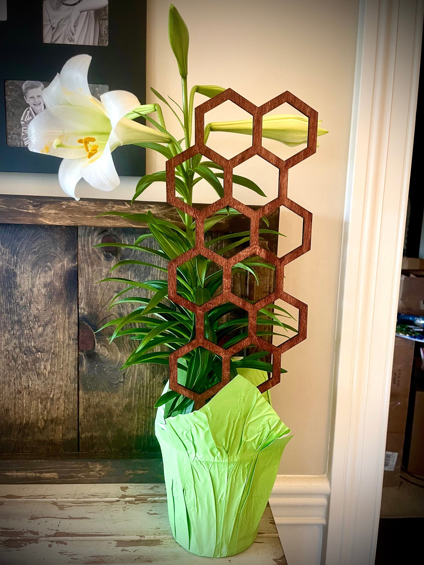 GIANT 18" Boho Indoor Plant Trellis | Hexagon Shapes | 12 Finishes