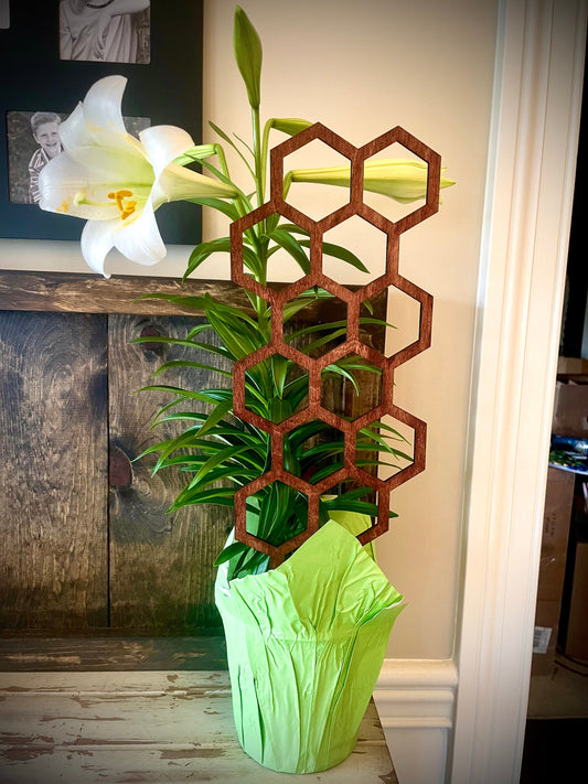GIANT 18" Boho Indoor Plant Trellis | Hexagon Shapes | 12 Finishes