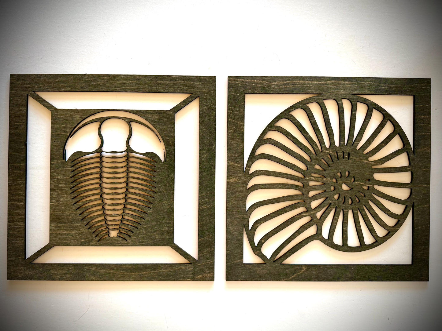 Trilobite & Ammonite Fossil Wood Wall Art | 2-Panel Set | Multiple Sizes & Finishes