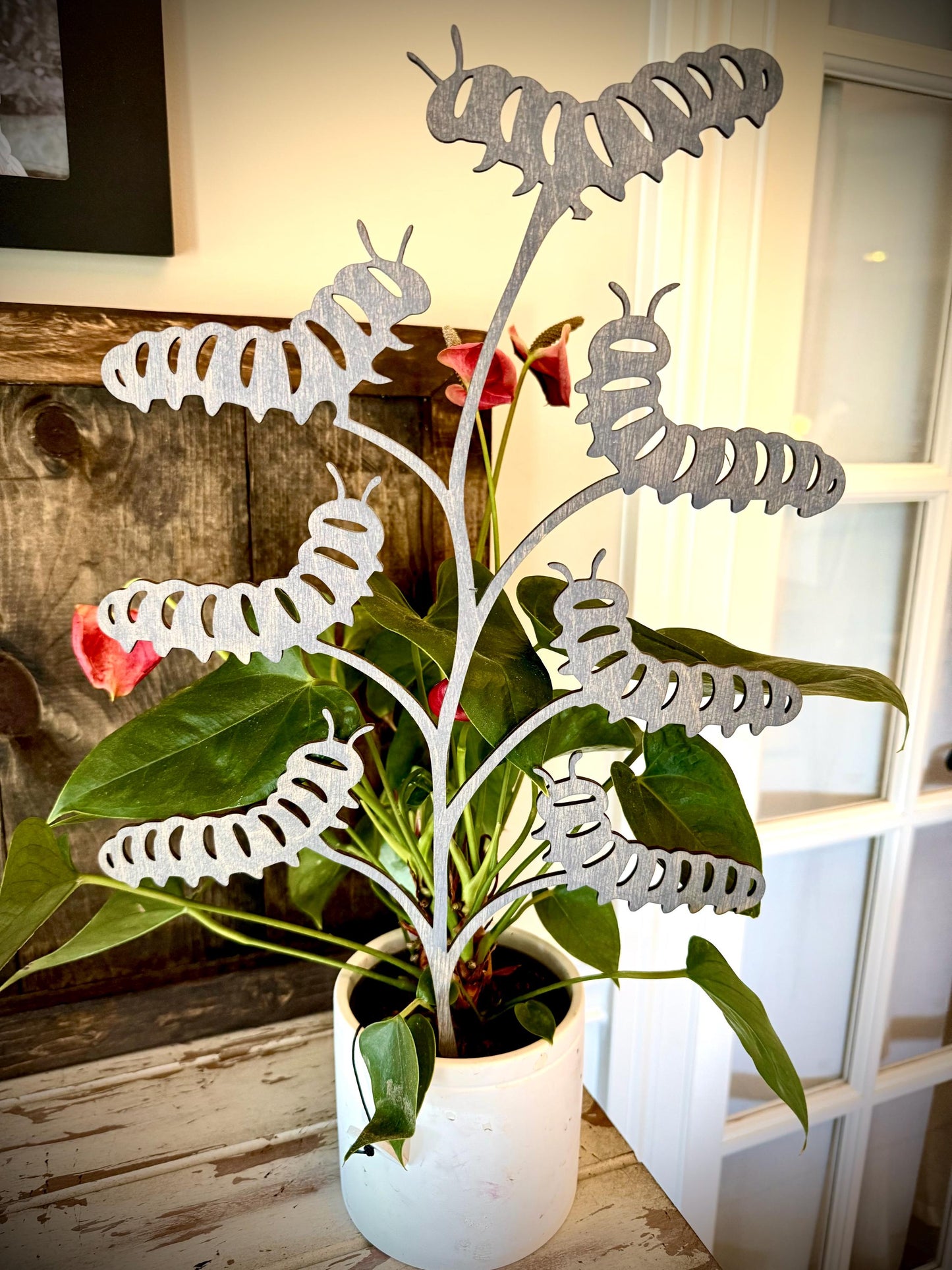GIANT 18" x 10.5" Caterpillar Boho Indoor Plant Trellis | Multiple Finishes