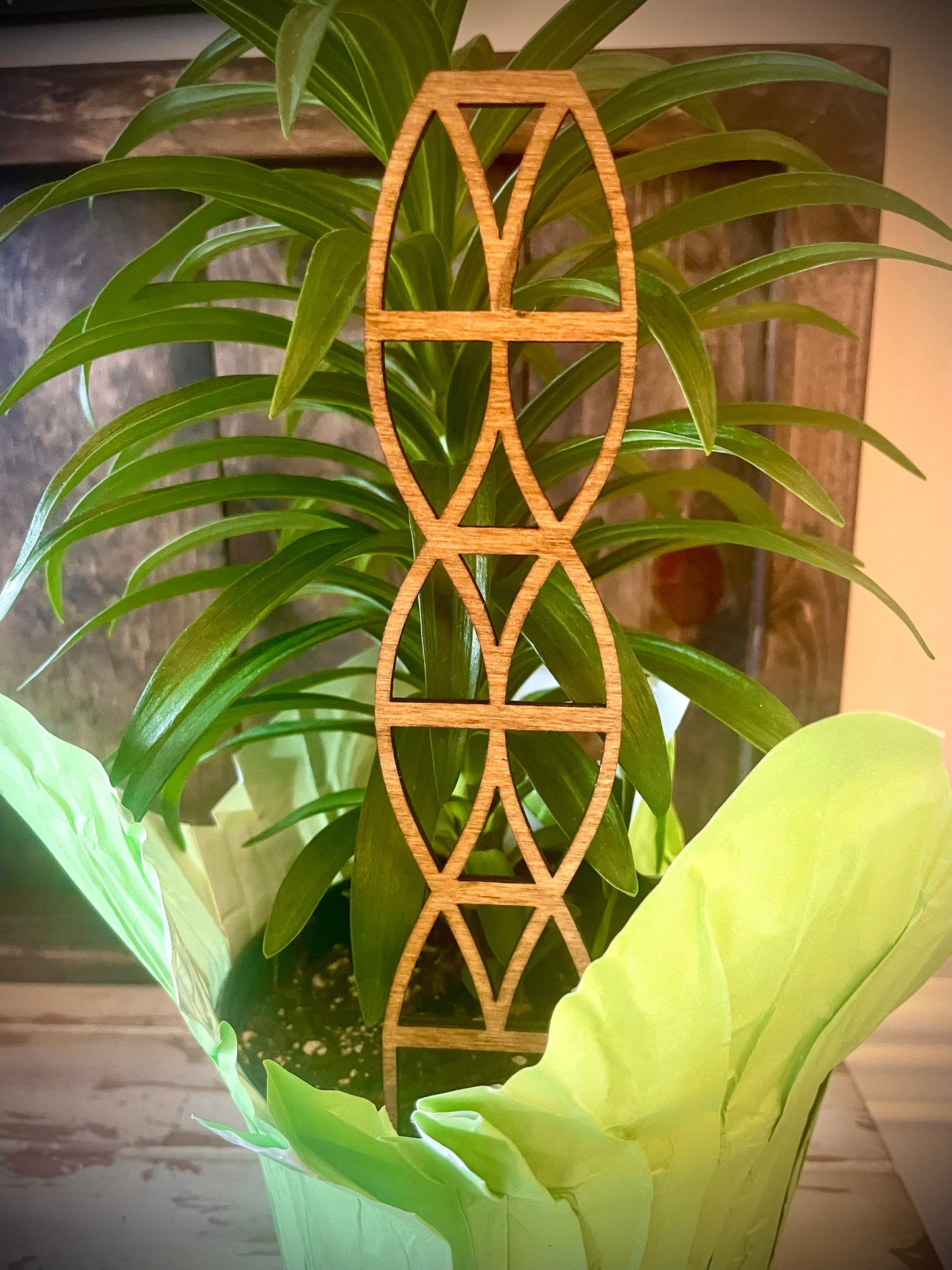 Boho Indoor Plant Trellis | Helix & DNA Shapes | Multiple Sizes & Finishes