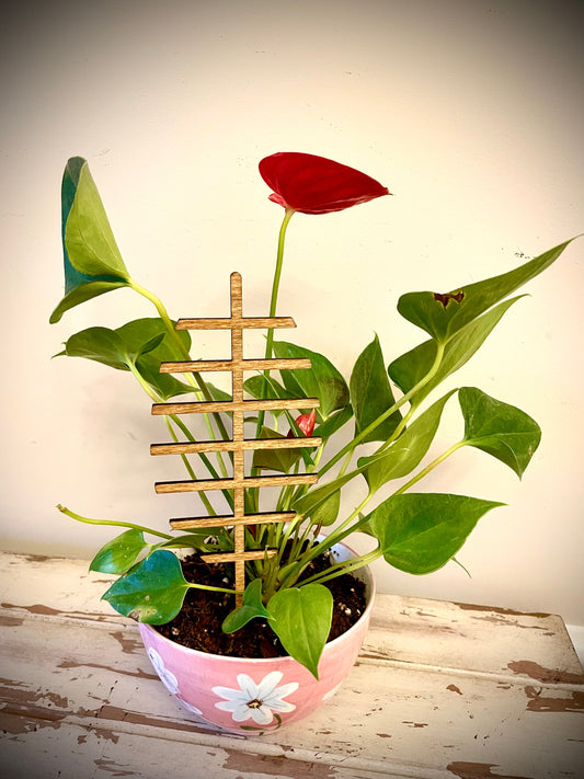 Boho Indoor Plant Trellis | Honey Dipper Shape | Multiple Sizes & Finishes