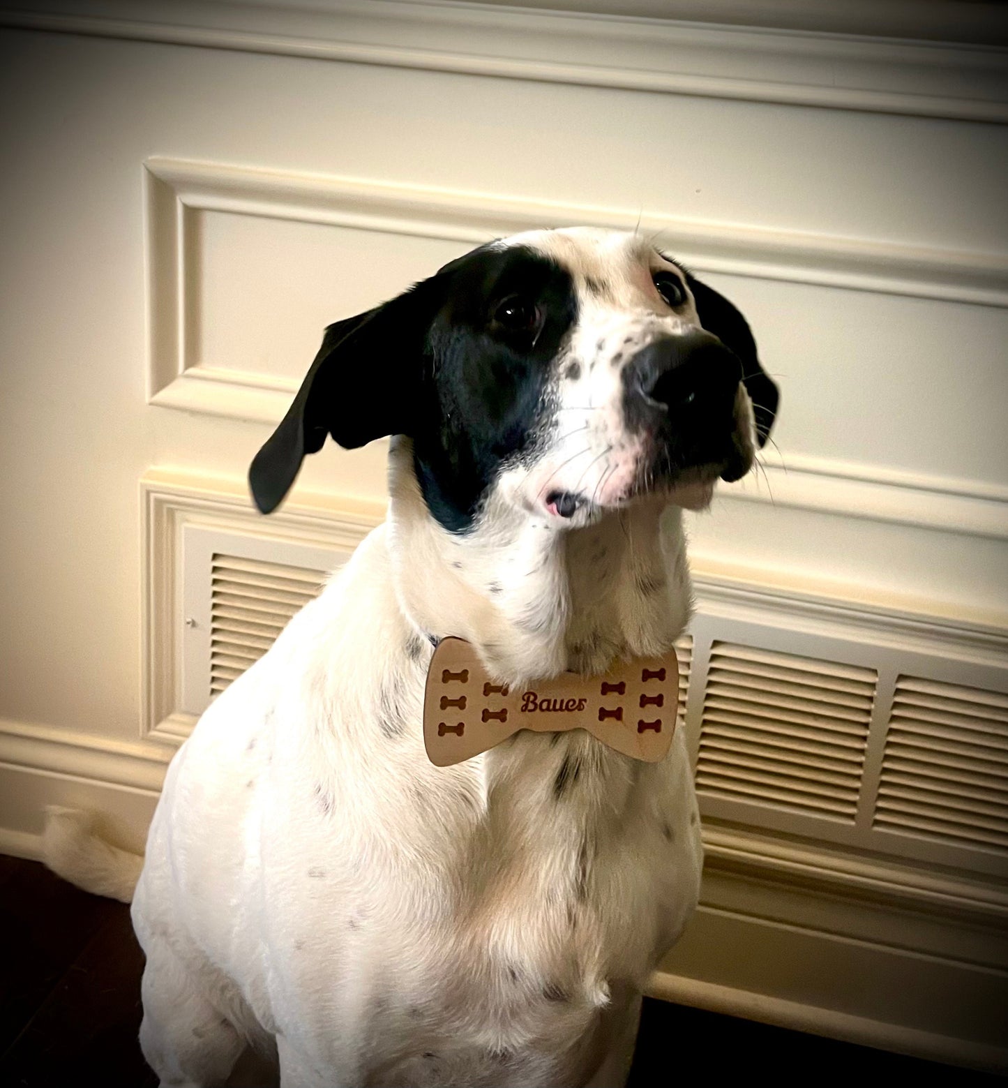 Personalized Wood Dog Bow Tie | Bone Pattern | Custom Pet Accessory Gift