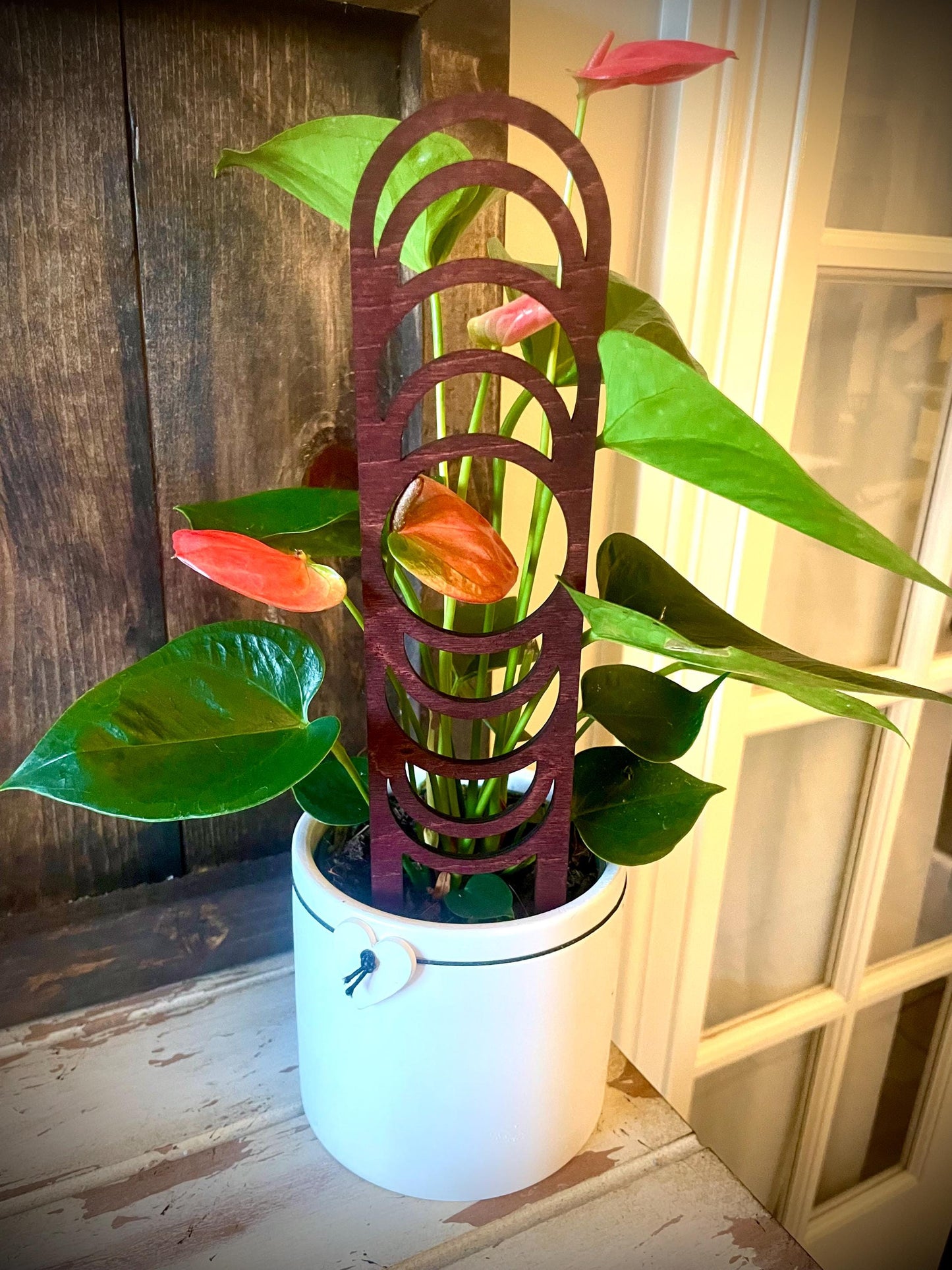 GIANT 18" Boho Indoor Plant Trellis | Moon Phase | 12 Finishes