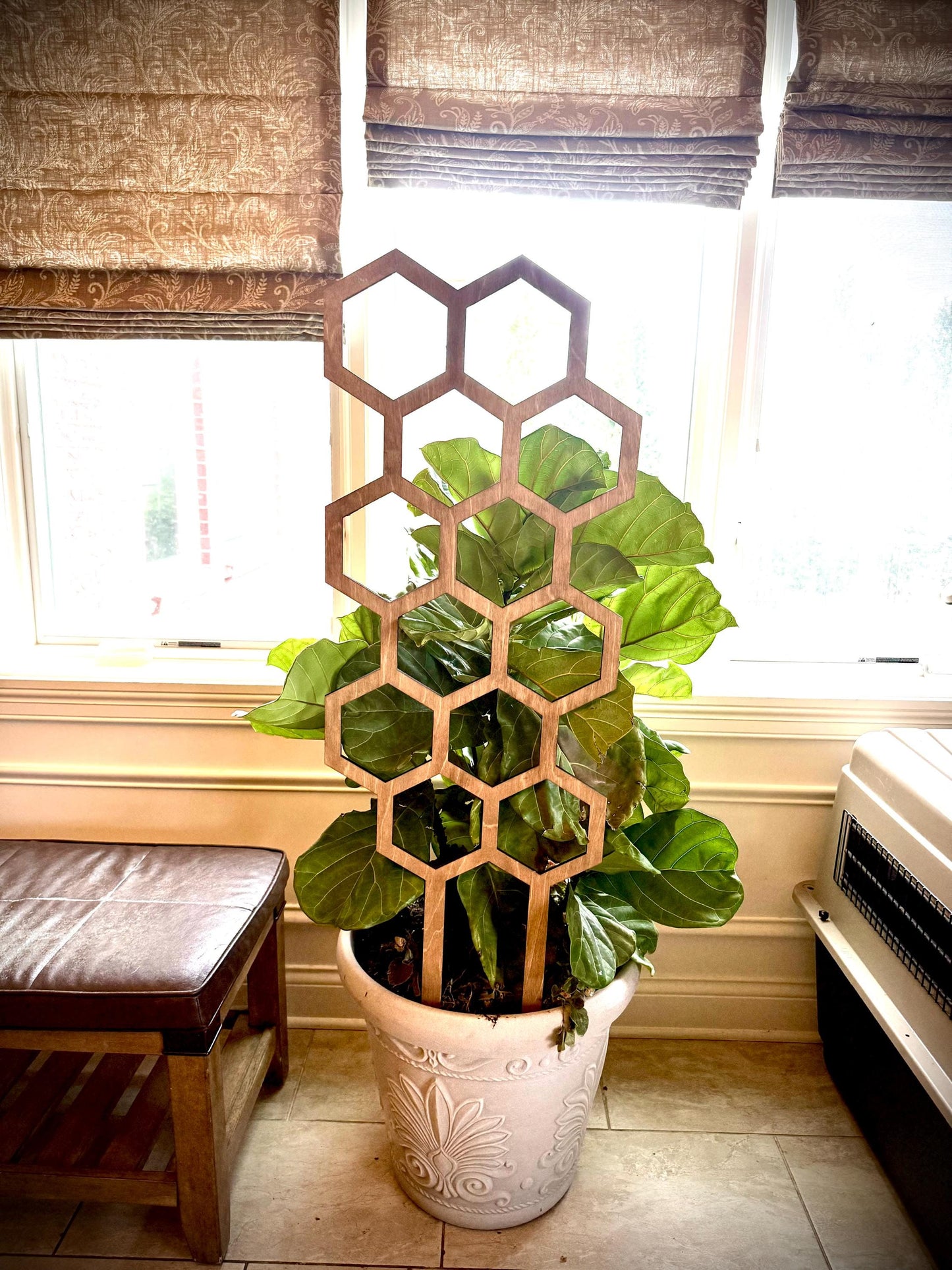 COLOSSAL 47" or 29" Boho Indoor Plant Trellis | Hexagon & Beehive Pattern | 12 Finishes