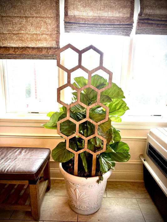 Colossal Hexagon and Beehive Pattern plant trellis in a golden oak finish supporting a leafy green houseplant in front of a window