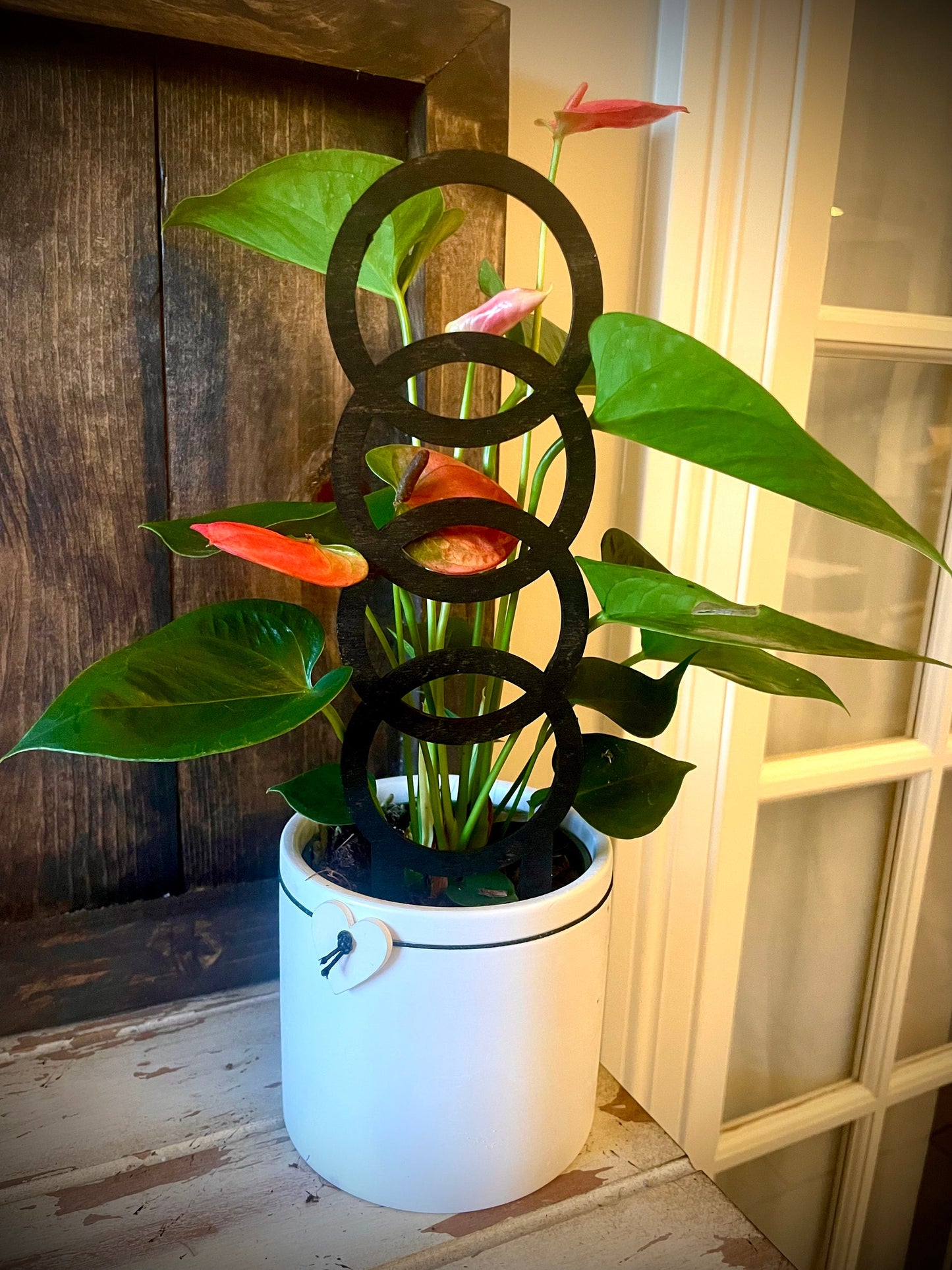 Boho Indoor Plant Trellis | Large Circle Shapes | Multiple Sizes & Finishes