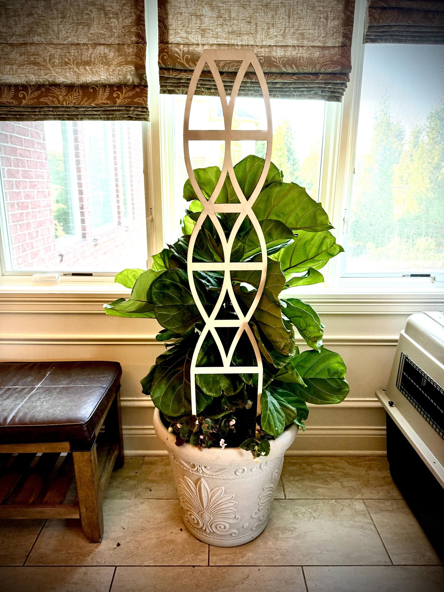COLOSSAL 47" or 29" Boho Indoor Plant Trellis | Helix & DNA Shapes | 12 Finishes