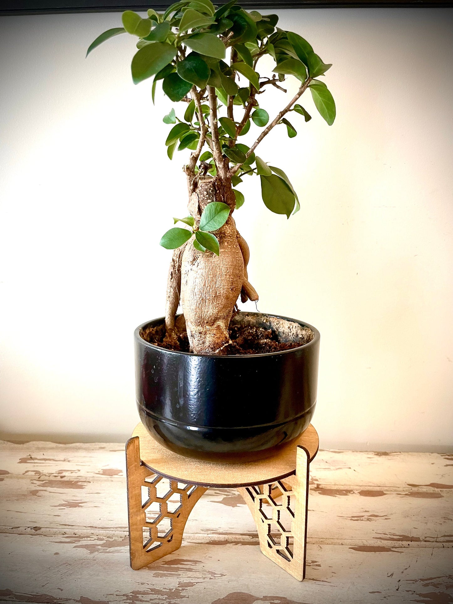 Wood Rattan Boho Indoor Plant Stand | 3 Sizes | 12 Finishes