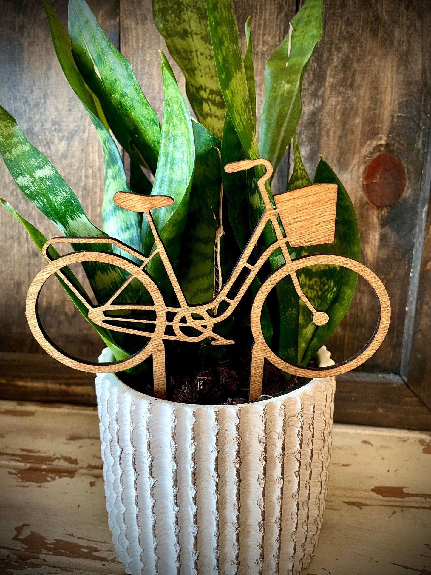 Intricate Bicycle Boho Indoor Plant Trellis | Multiple Sizes & Finishes