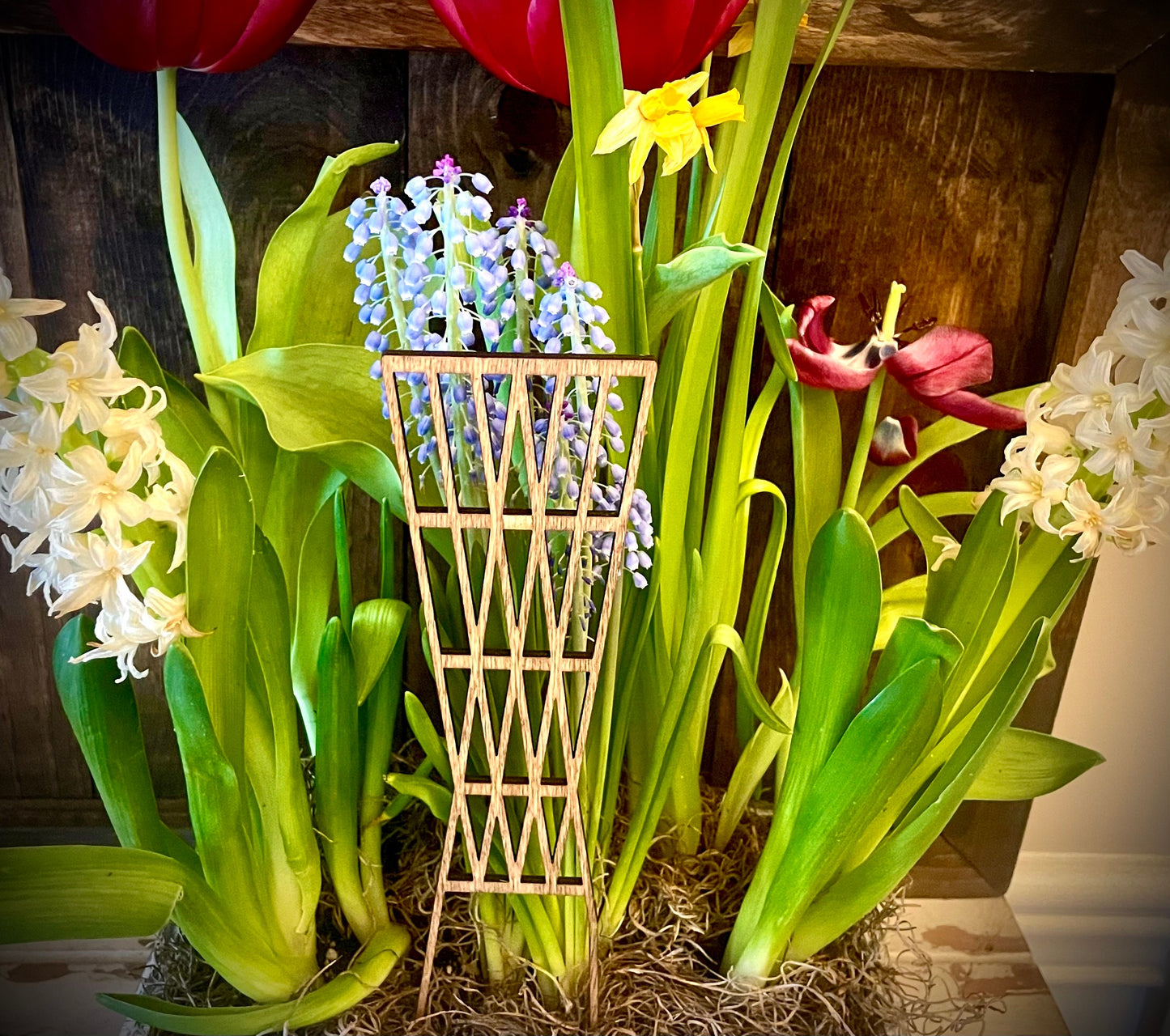 Mid Century Modern Boho Indoor Plant Trellis | Multiple Sizes & Finishes | Style A