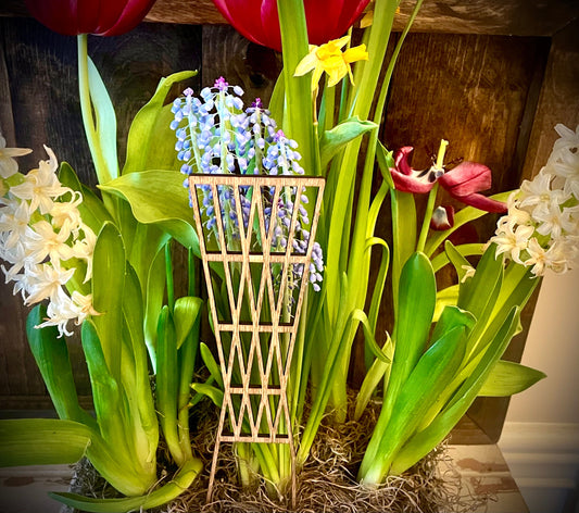 Mid Century Modern Boho Indoor Plant Trellis | Multiple Sizes & Finishes | Style A
