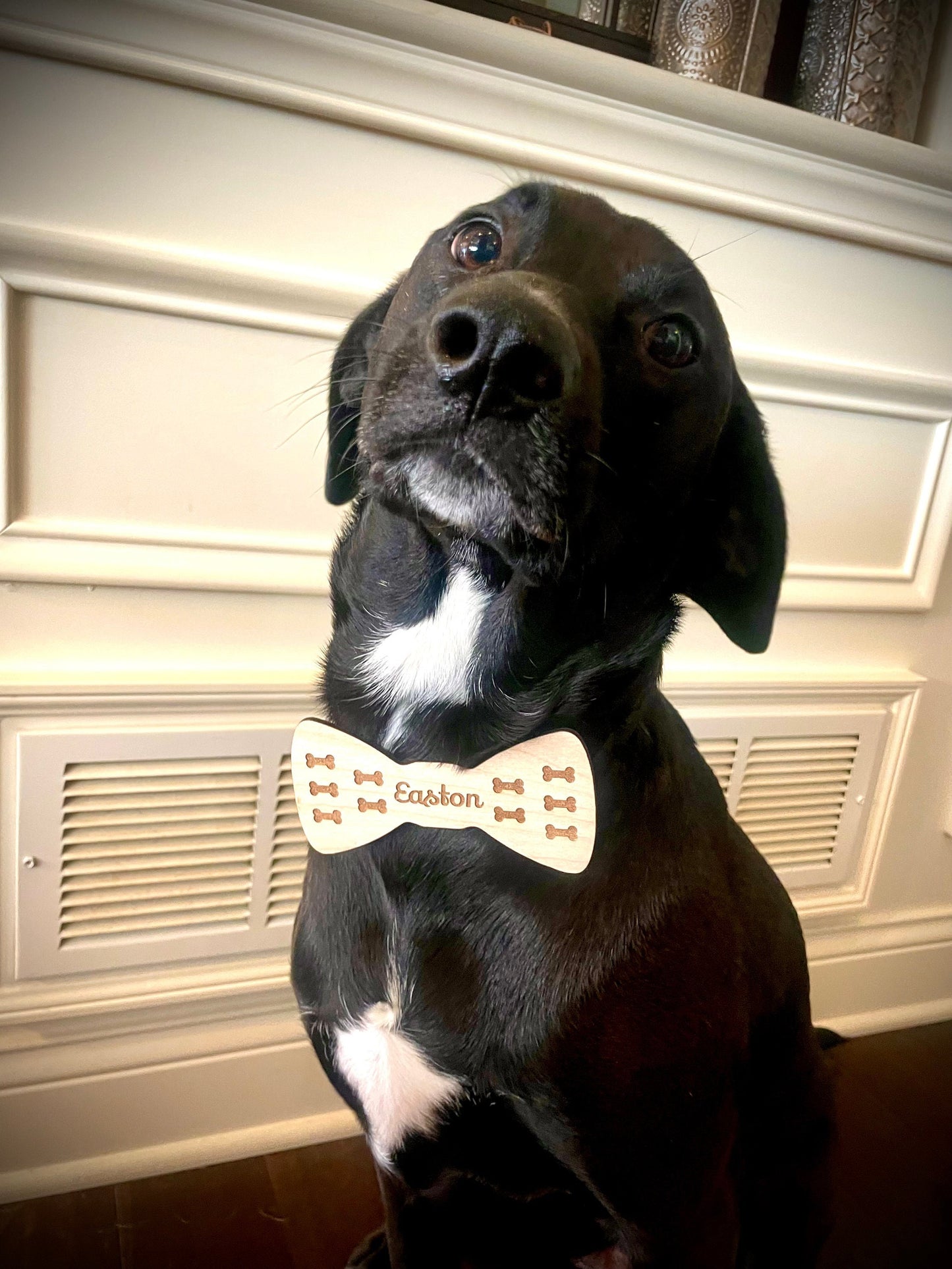 Personalized Wood Dog Bow Tie | Bone Pattern | Custom Pet Accessory Gift