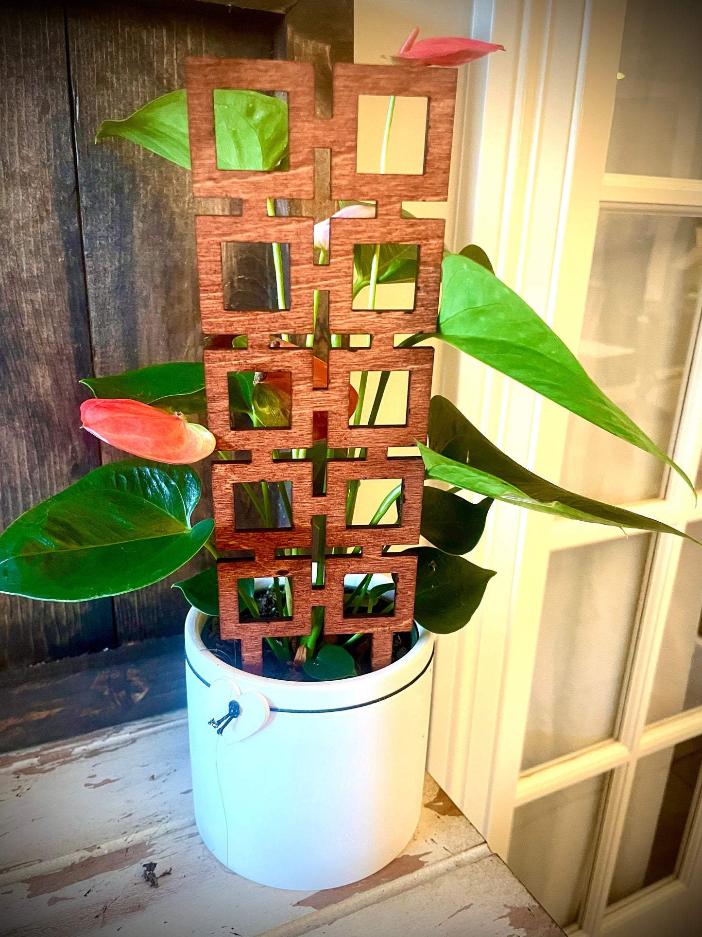 Boho Indoor Plant Trellis | Square Shapes | Multiple Sizes & Finishes