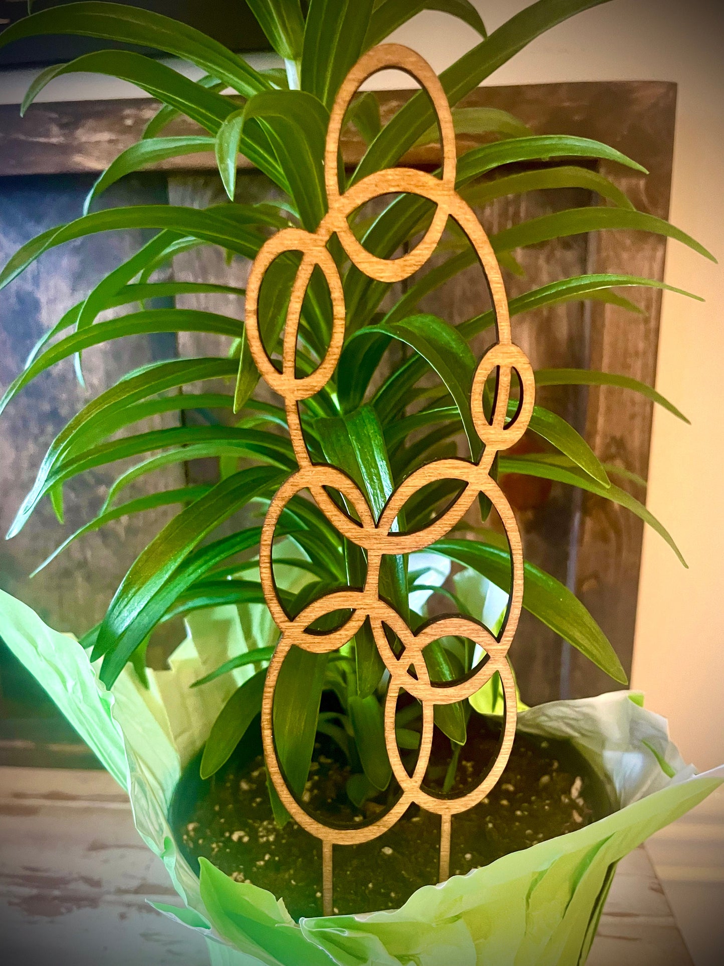 Boho Indoor Plant Trellis | Bubble Shapes | Multiple Sizes & Finishes