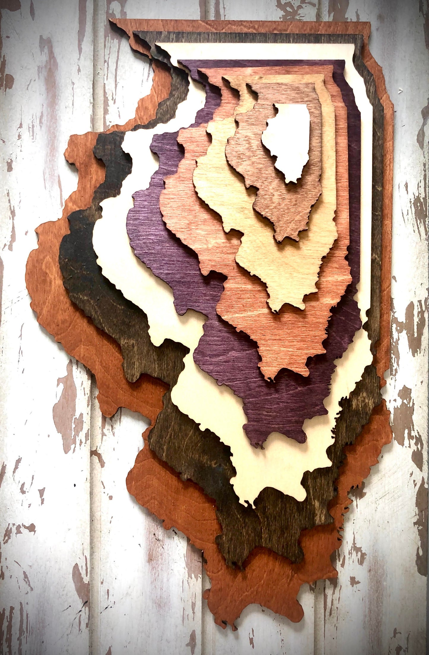 Illinois Stacked State 3D Wood Table & Wall Art | Multi-Color