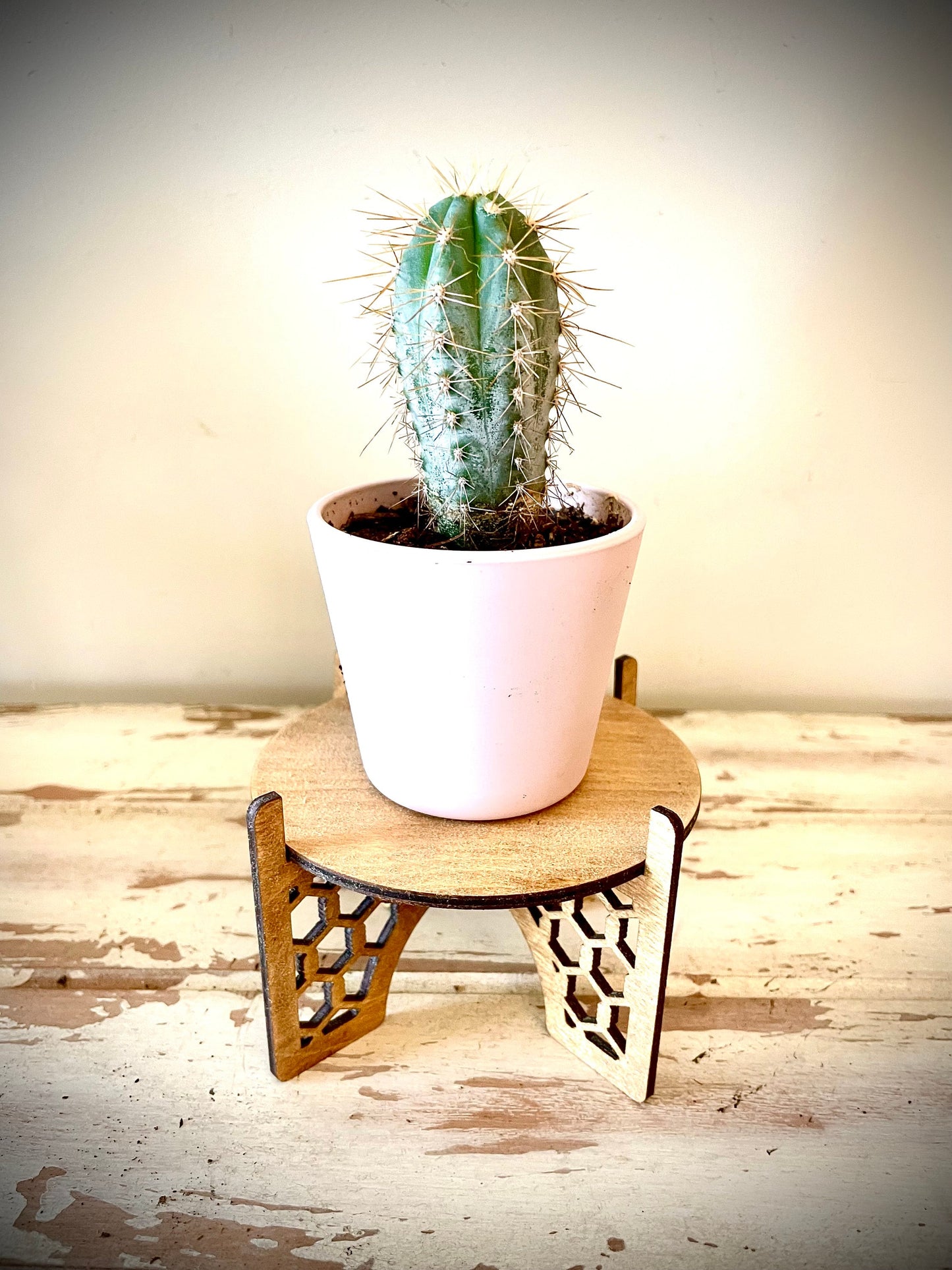 Wood Rattan Boho Indoor Plant Stand | 3 Sizes | 12 Finishes