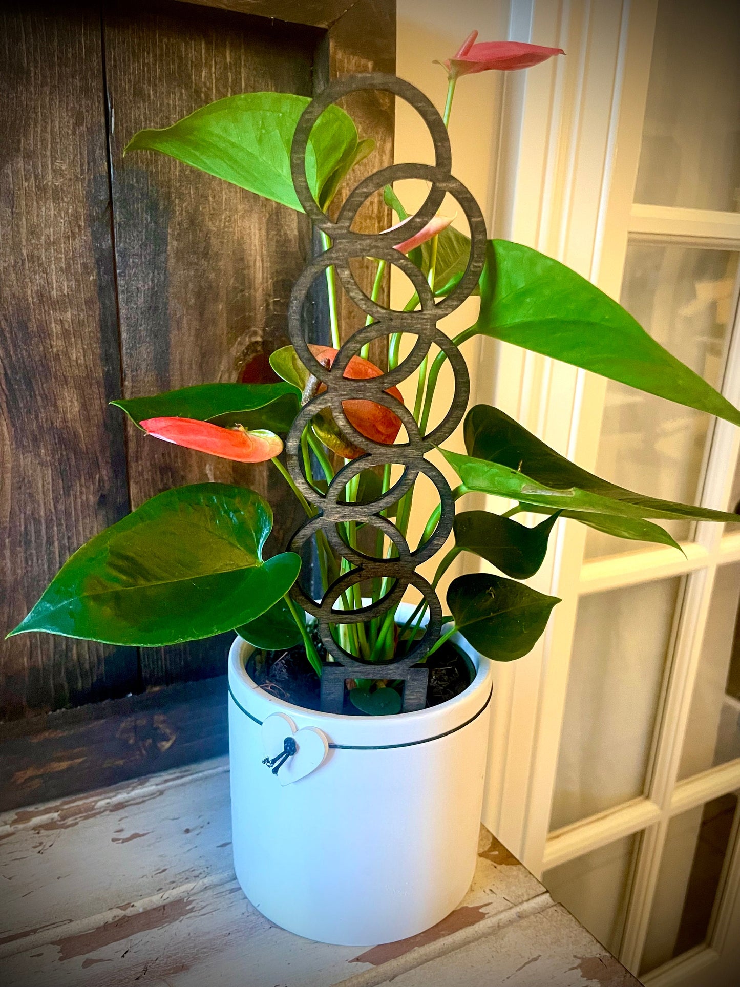 Boho Indoor Plant Trellis | Small Circle Shapes | Multiple Sizes & Finishes