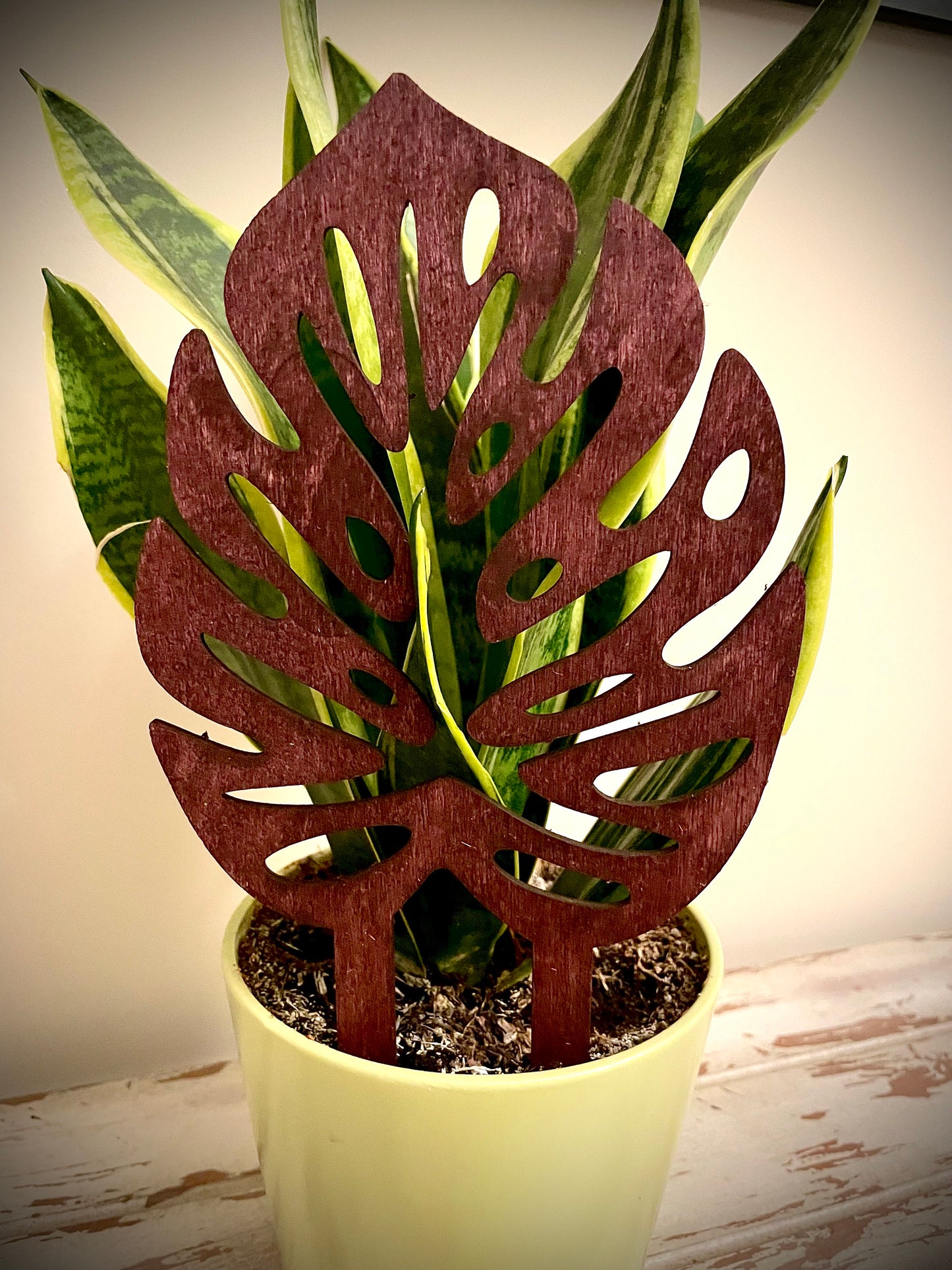 Boho Indoor Plant Trellis | Monstera Leaves | Multiple Sizes & Finishes