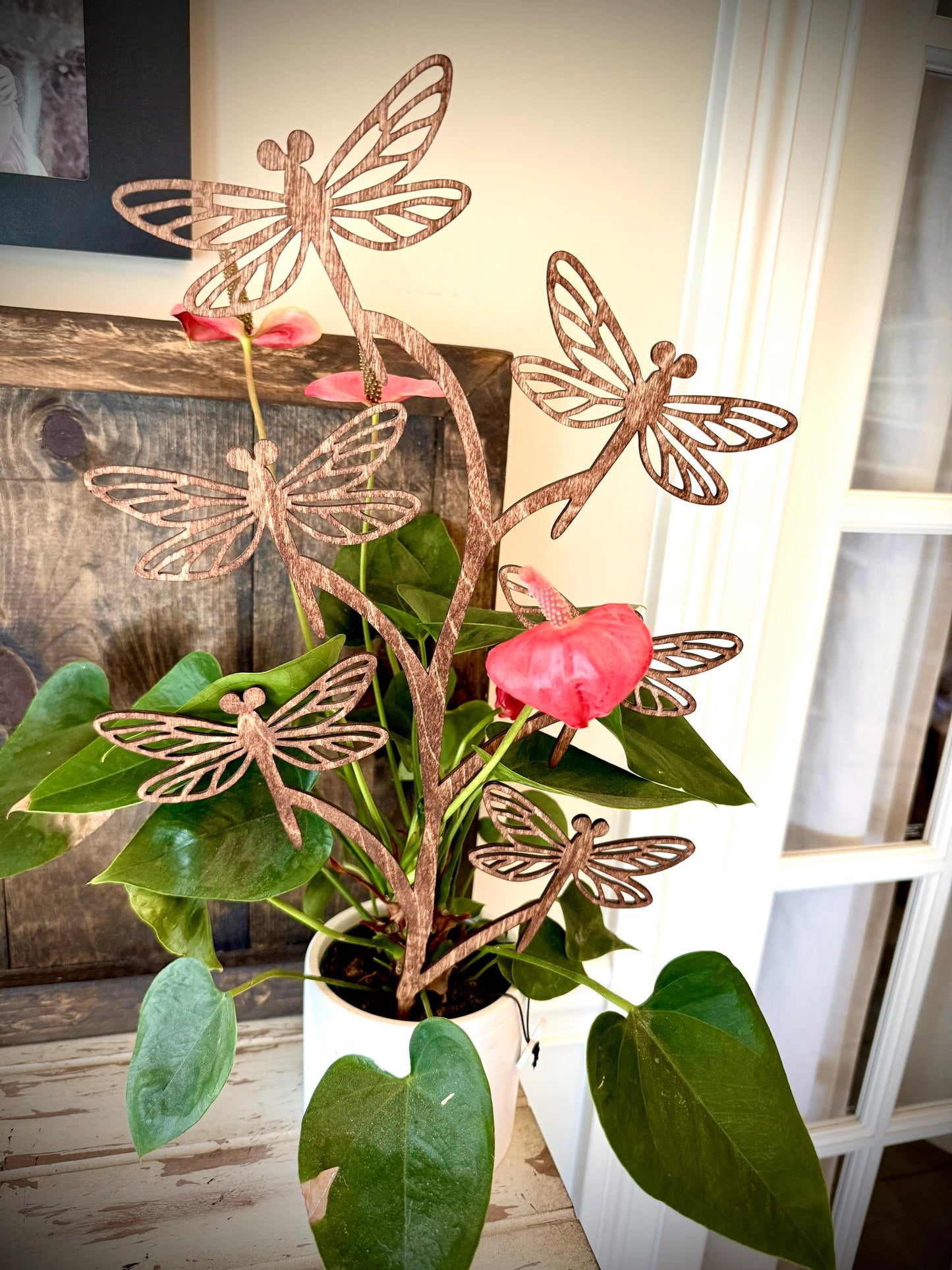 GIANT 18" x 10.5" Dragonfly Boho Indoor Plant Trellis | Multiple Finishes