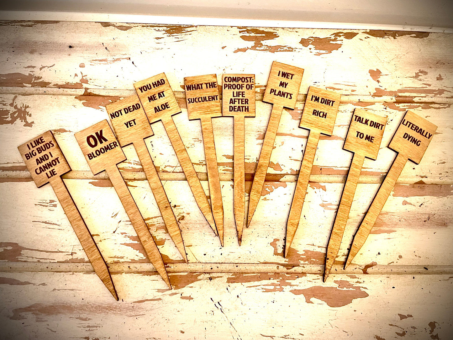 Funny Indoor Plant & Cactus Stakes | Set of 10 Labels | 12 Finishes | Set A
