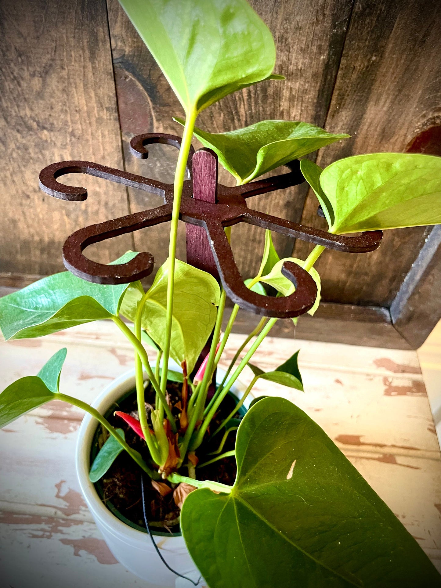 Boho Wood Plant Stem Support with Spike | Philodendron, Alocasia & Monstera | 25 Sizes | 12 Finishes