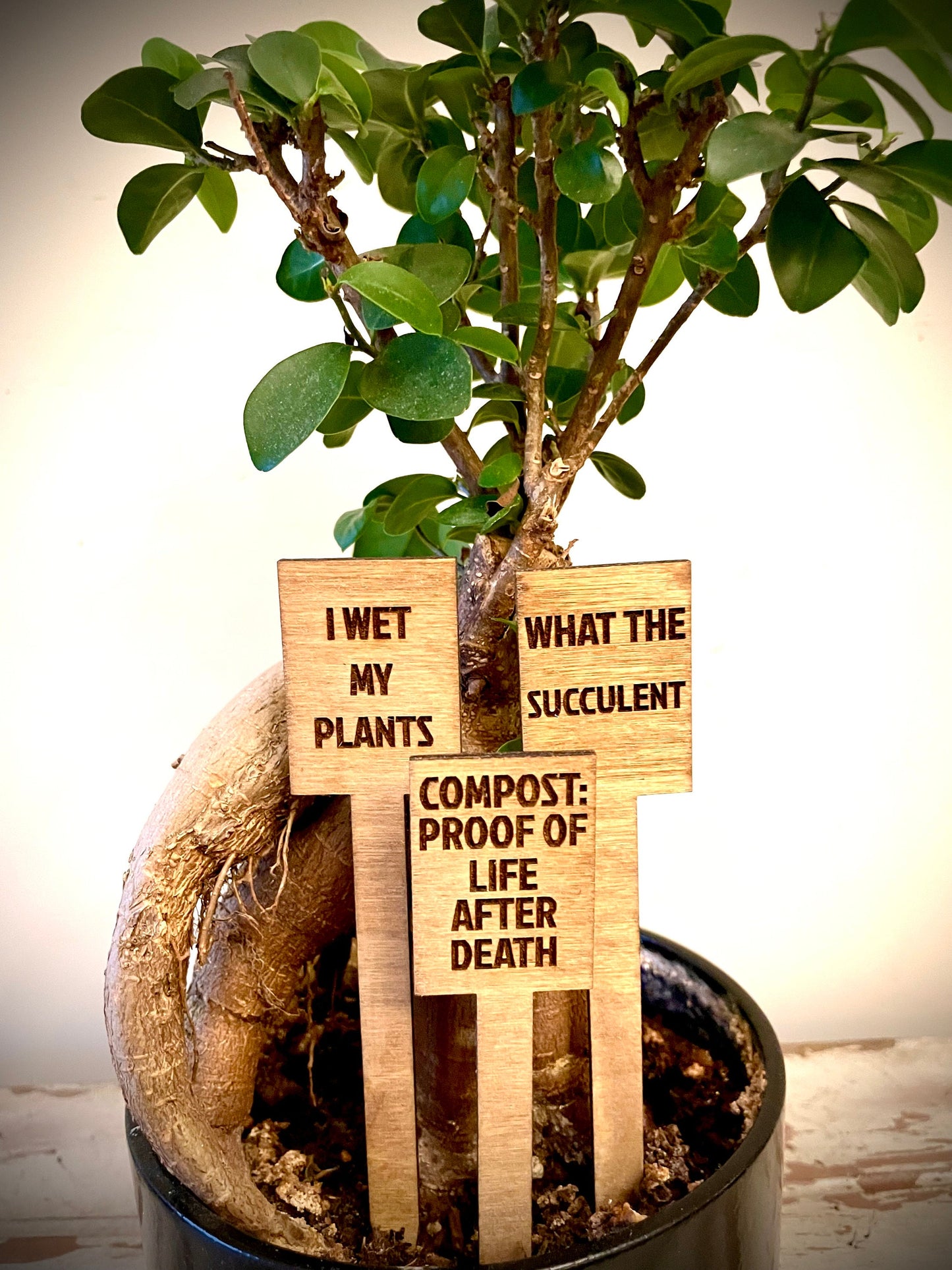 Funny Indoor Plant & Cactus Stakes | Set of 10 Labels | 12 Finishes | Set A