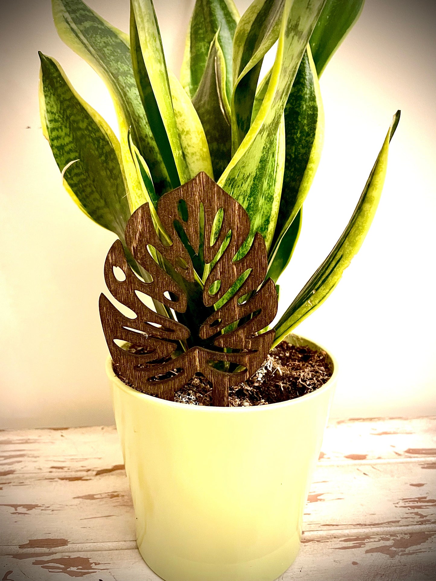 Boho Indoor Plant Trellis | Monstera Leaves | Multiple Sizes & Finishes