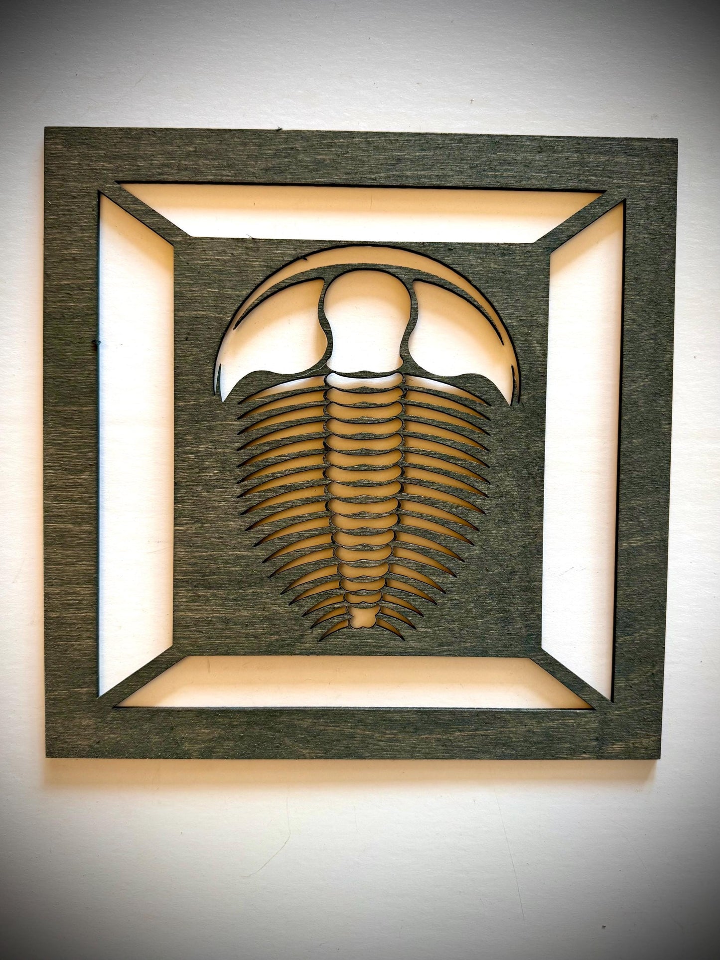 Trilobite & Ammonite Fossil Wood Wall Art | 2-Panel Set | Multiple Sizes & Finishes