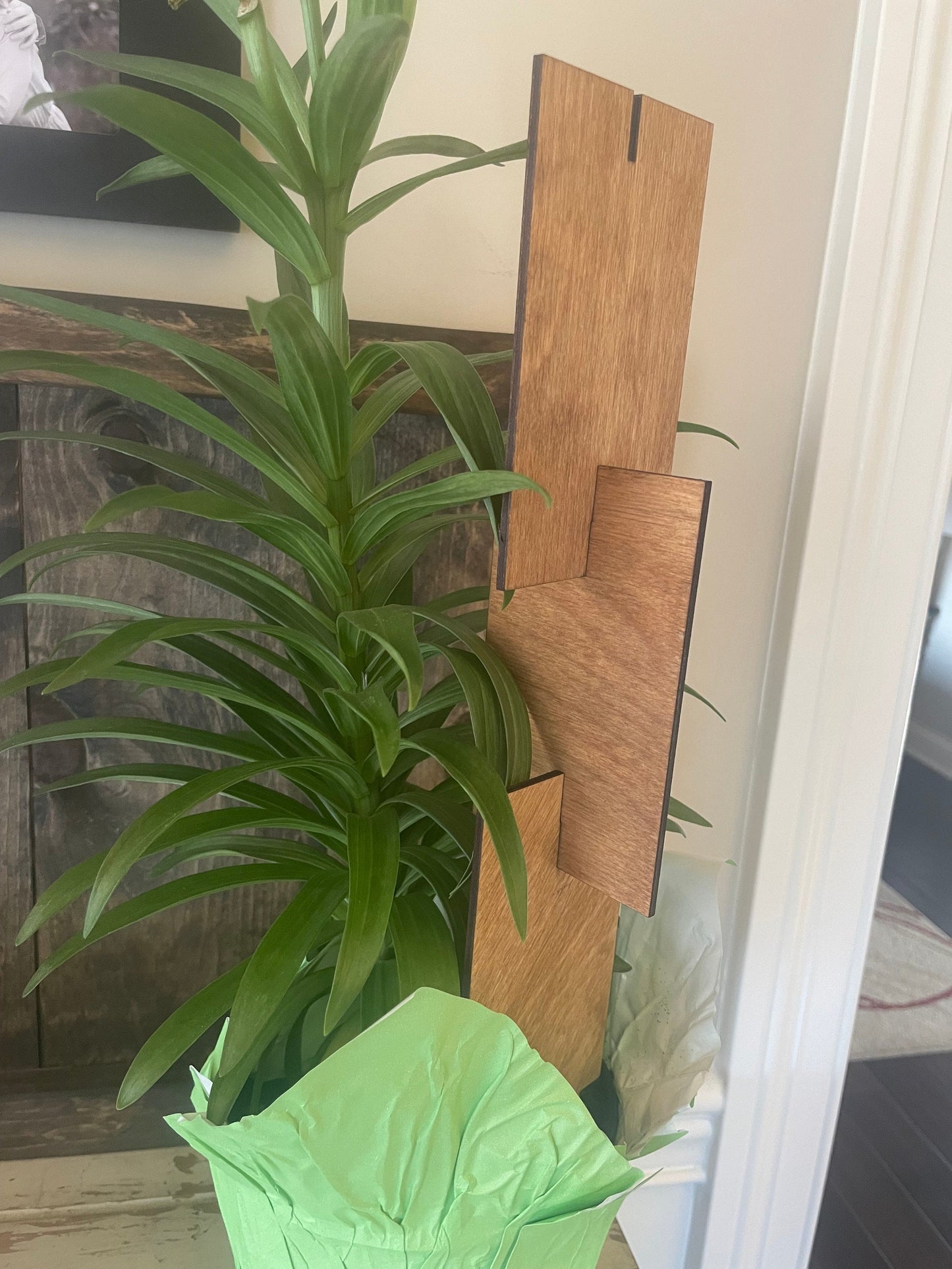 Boho Expandable Indoor Plant Trellis | Rectangle Shapes | Multiple Configurations | 12 Finishes