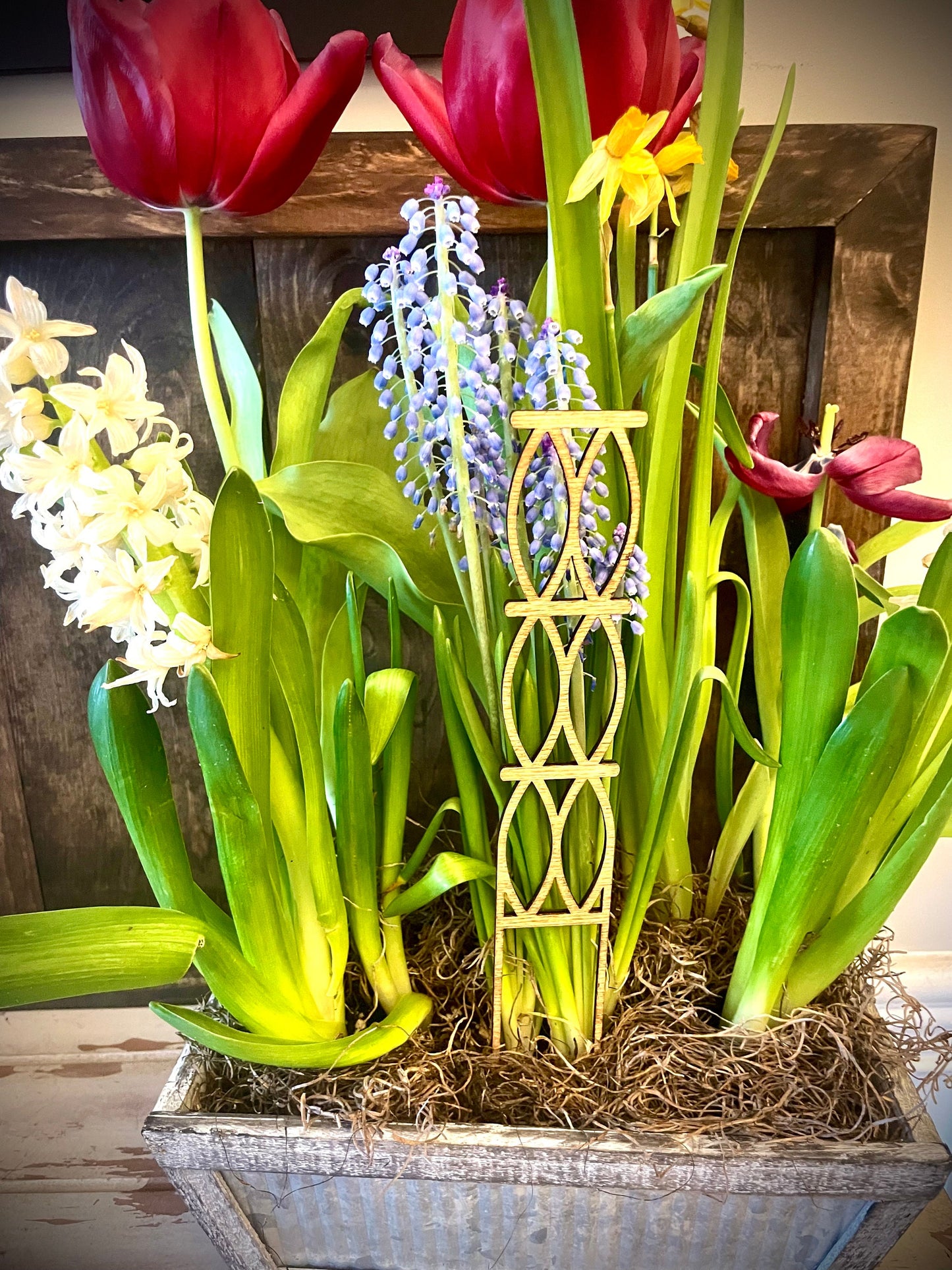Boho Indoor Plant Trellis | Fish Shape & Ellipse | Multiple Sizes & Finishes