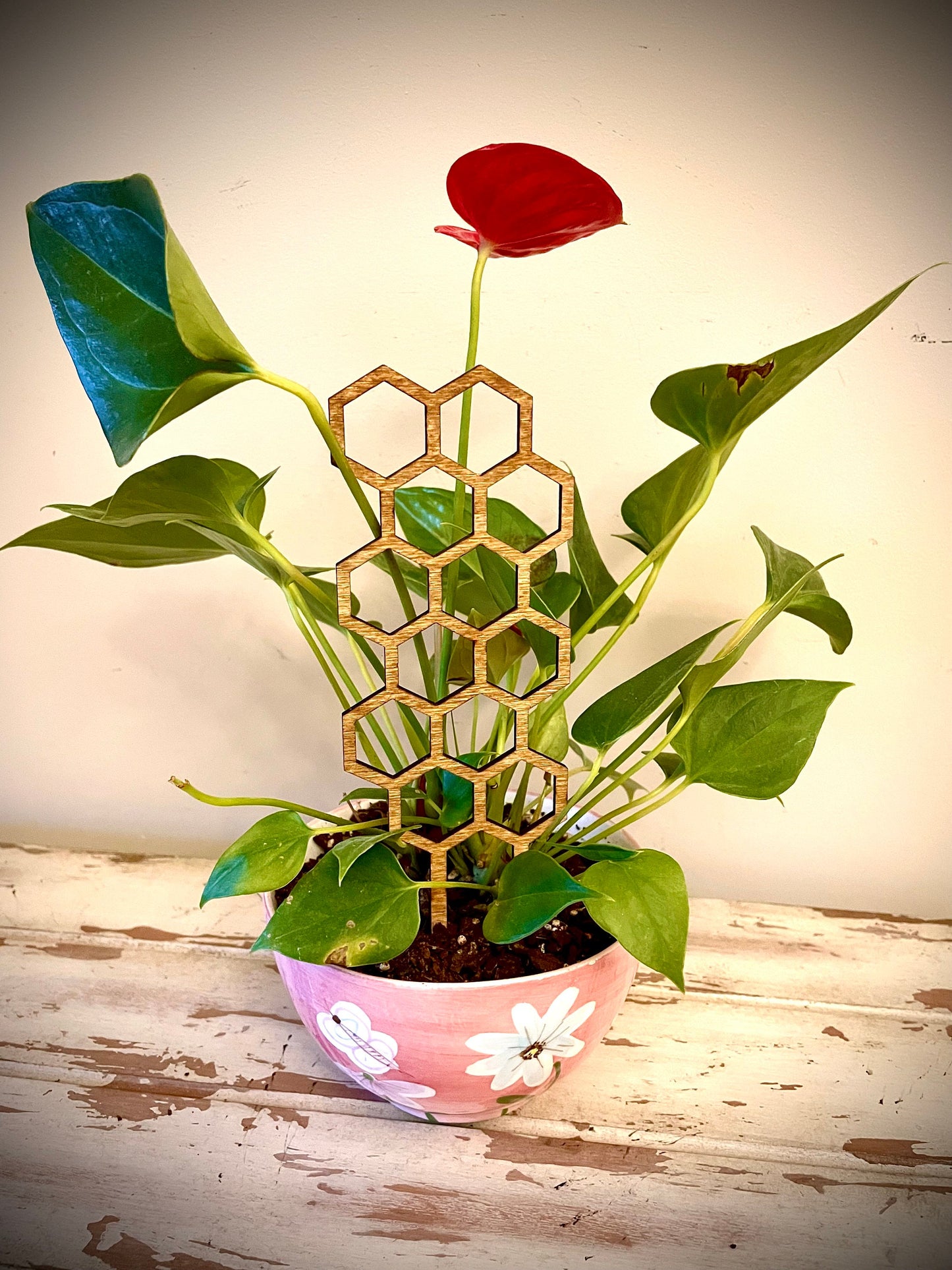 Boho Indoor Plant Trellis | Hexagon Shapes | Multiple Sizes & Finishes