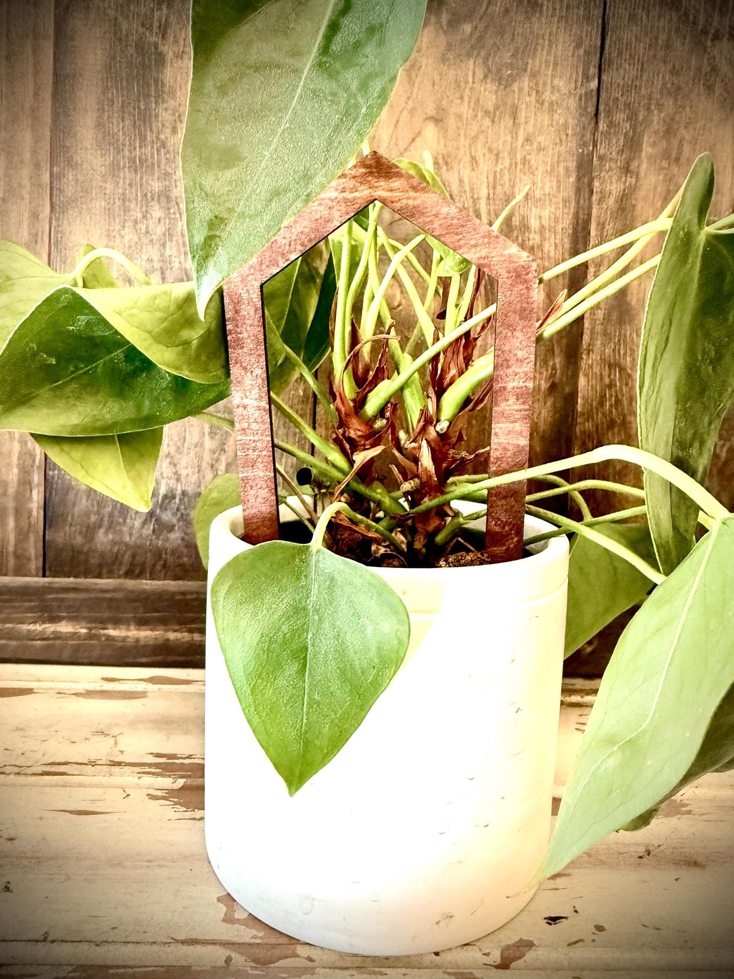Boho Indoor Plant Trellis | House-Shaped Vine Climber | Multiple Sizes & Finishes
