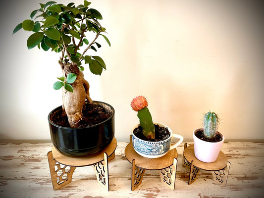 Wood Rattan Boho Indoor Plant Stand | 3 Sizes | 12 Finishes