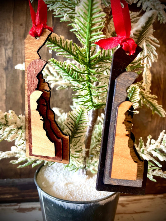 Delaware 3-Layer Stacked Wood Ornament & Gift Tag | Brown & Gray Tones | State Pride Gift
